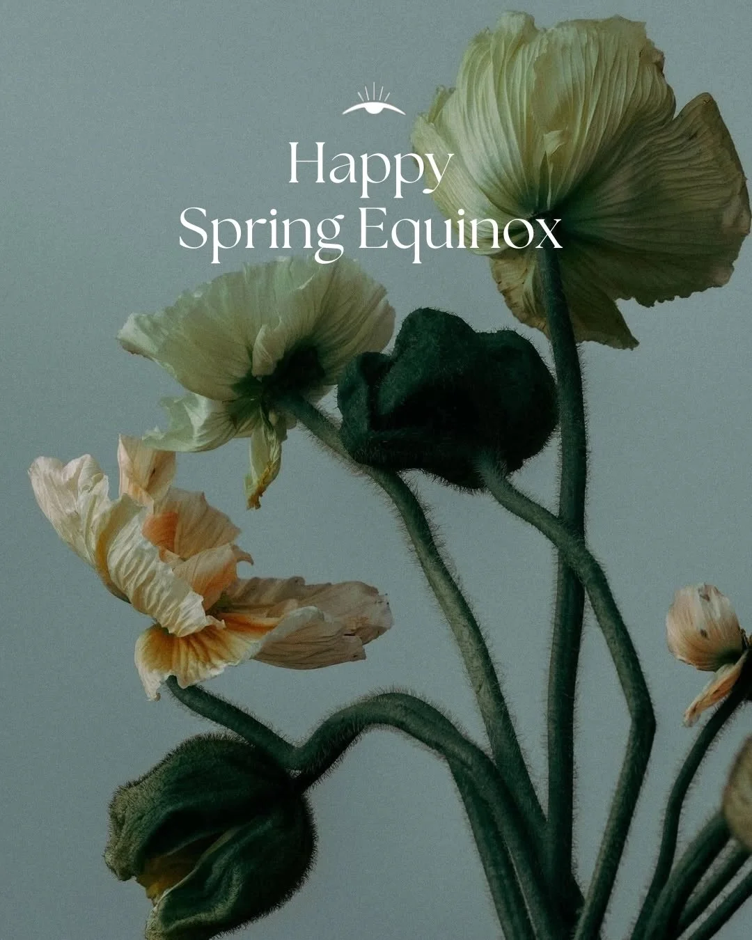 Welcome to the energy of the Spring Equinox &amp; Nowruz 🌸✨

Nature is waking up, and so are we. This is a time to reset intentions, clear stagnant energy, and plant seeds for what you want to grow in the months ahead. 🌱

This as a beautiful window