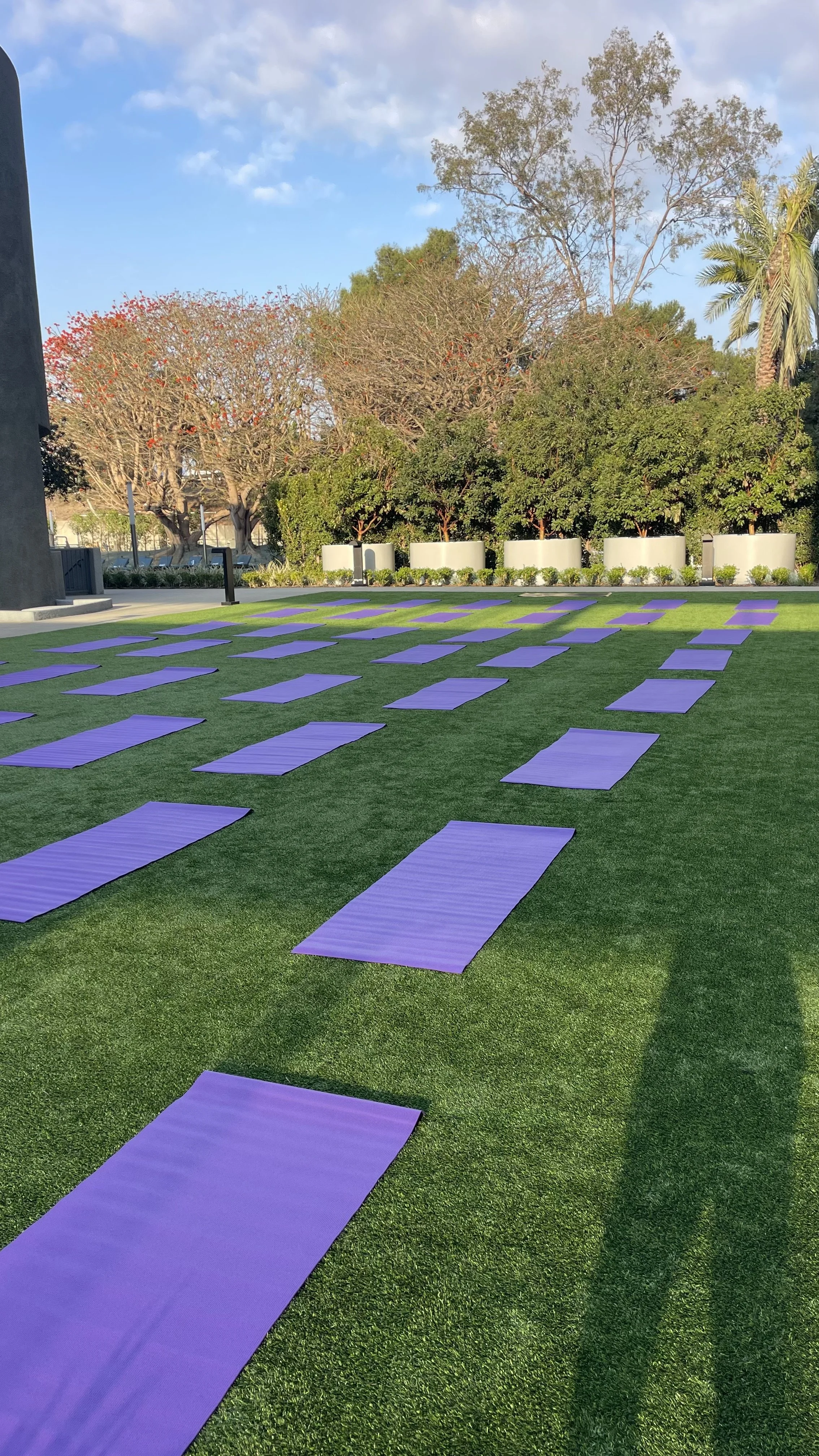 Yoga for a Corporate Team Retreat