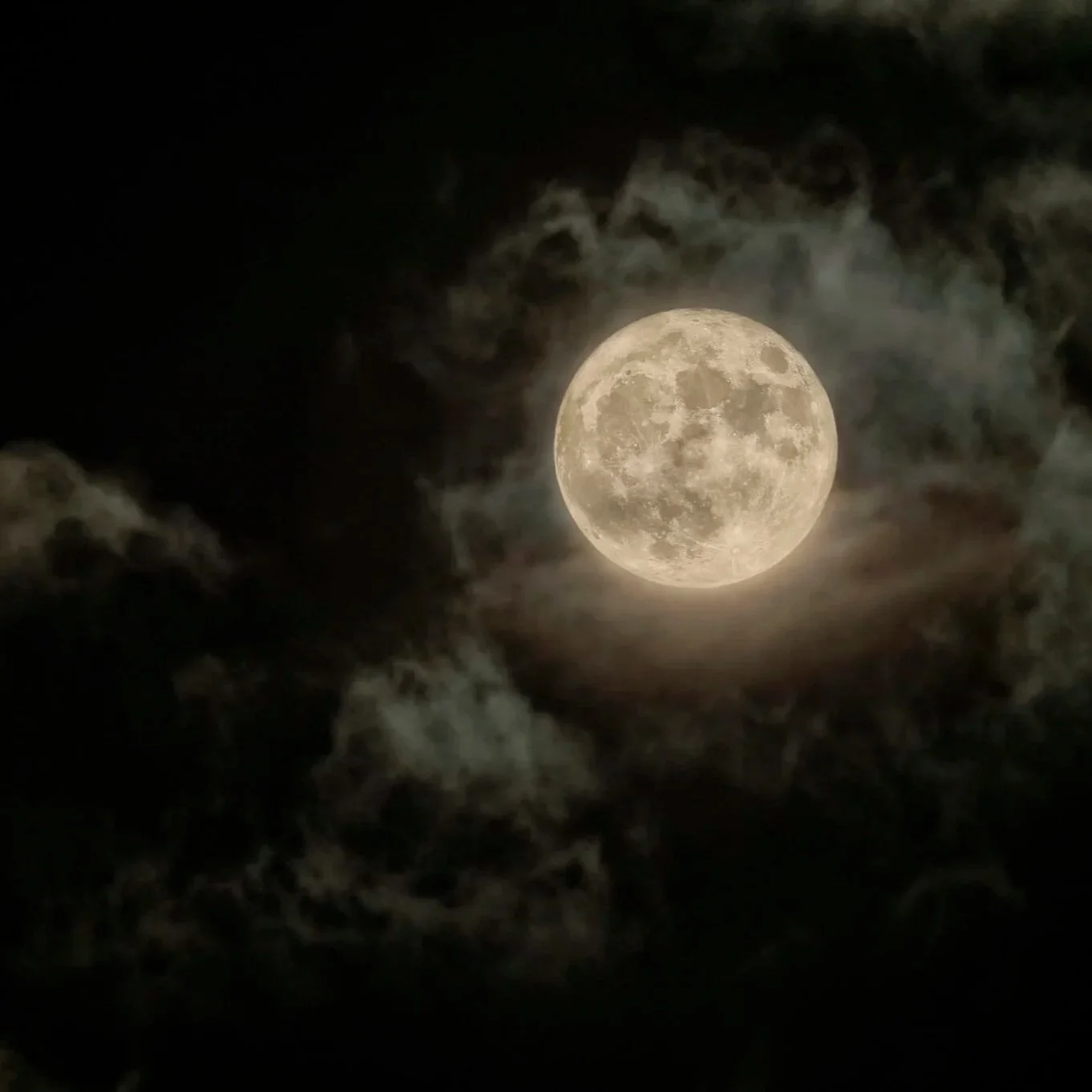 Under the Full Moon: Luv Collective Brings Astrology to Pendry Washington D.C.