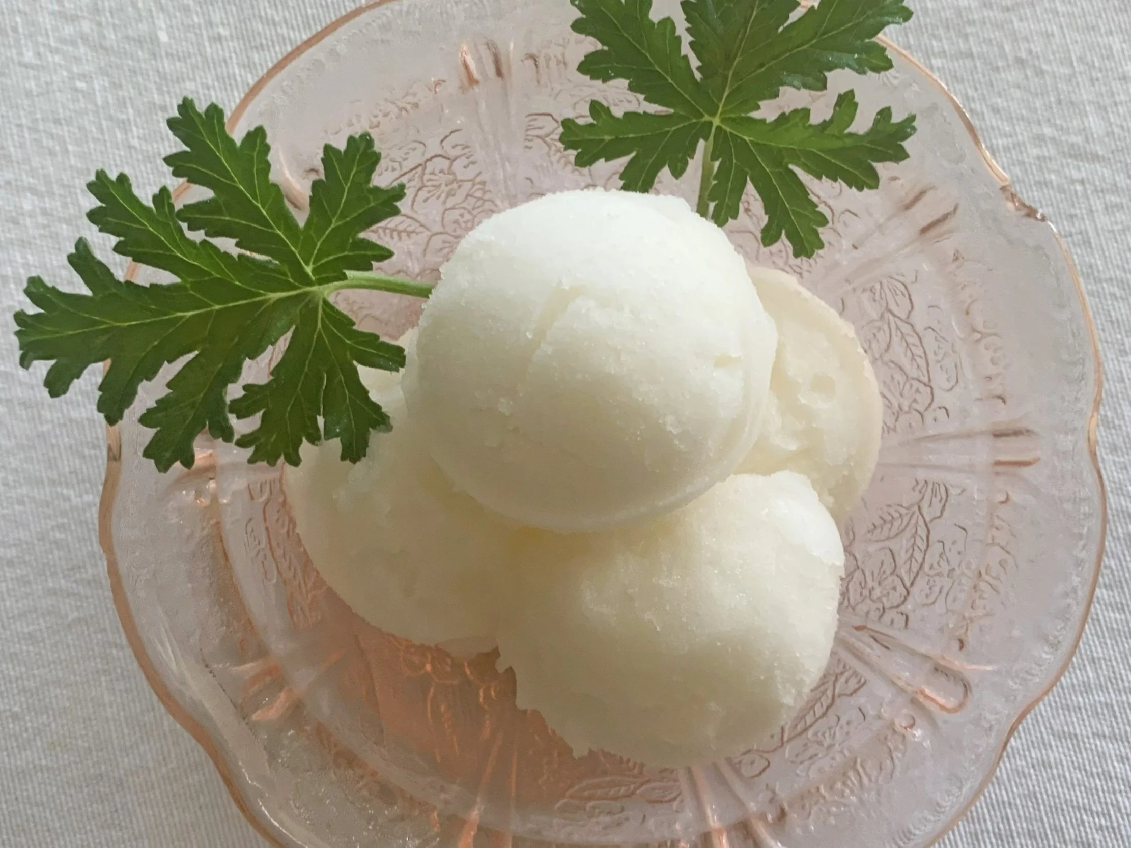 Attar Of Roses Sorbet Dessert