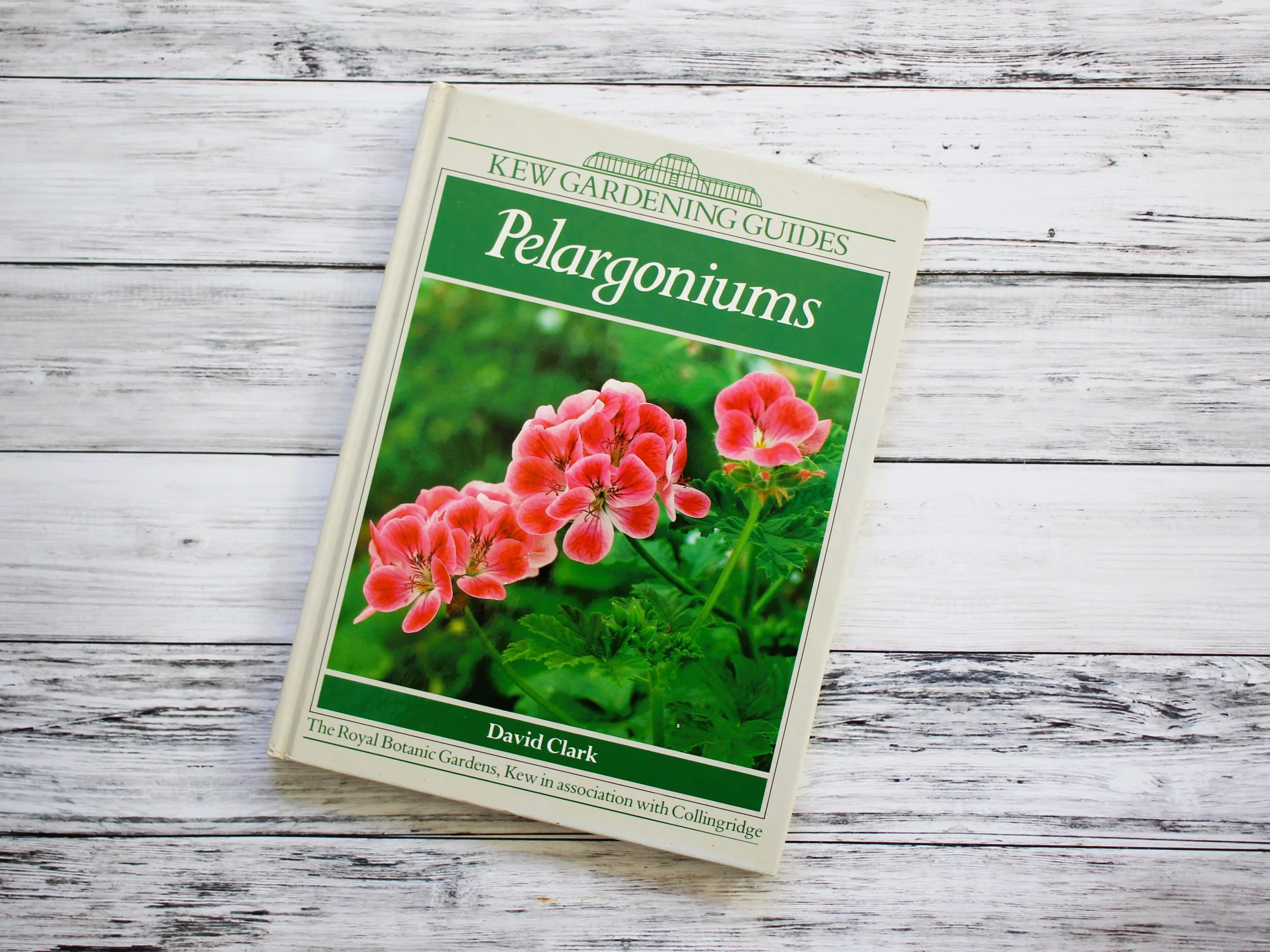 Kew Garden Guide, Pelargoniums 