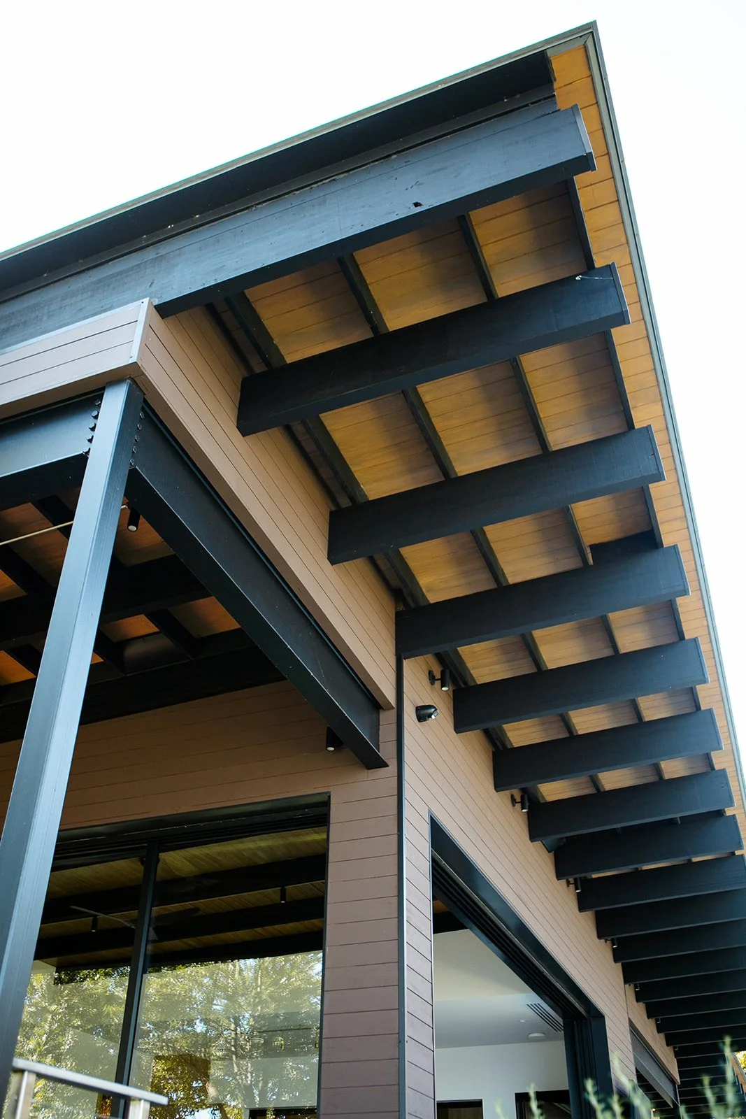 05.jpg