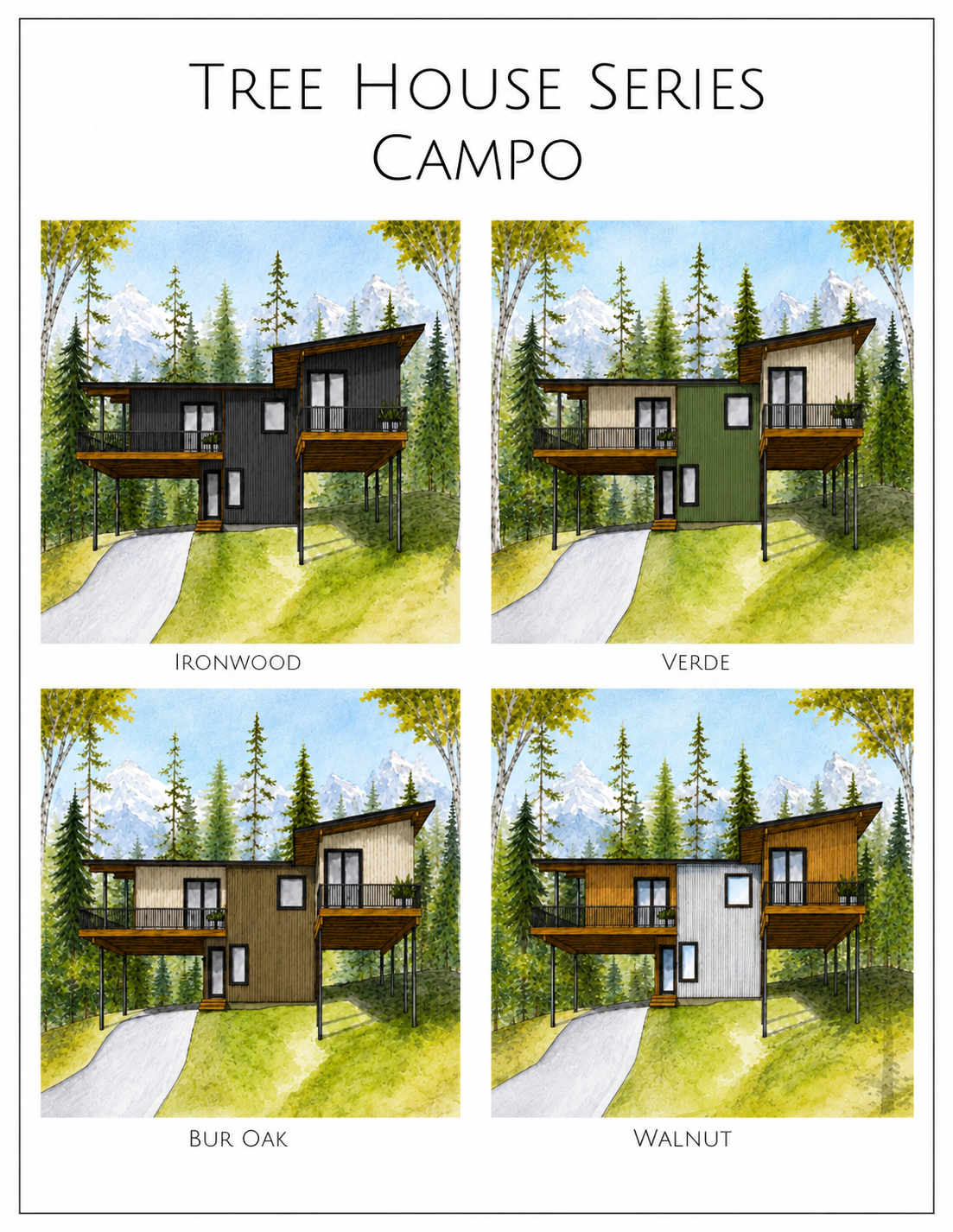 Campo.PNG