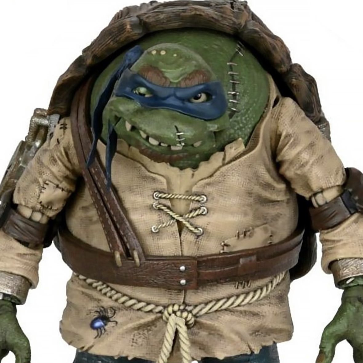 Hunchback Turtle.jpg