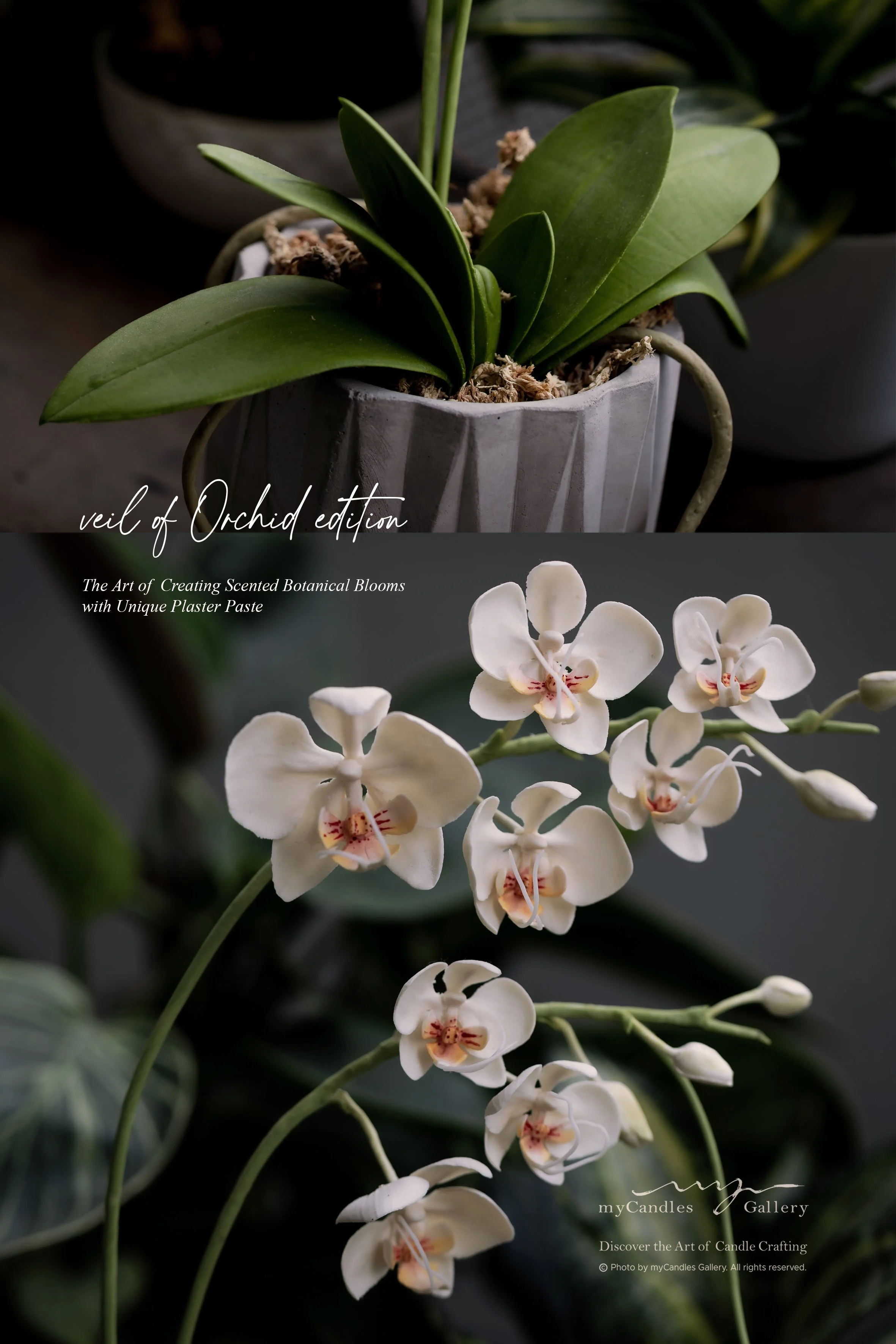 Plaster Paste Flower - 1 Day Course