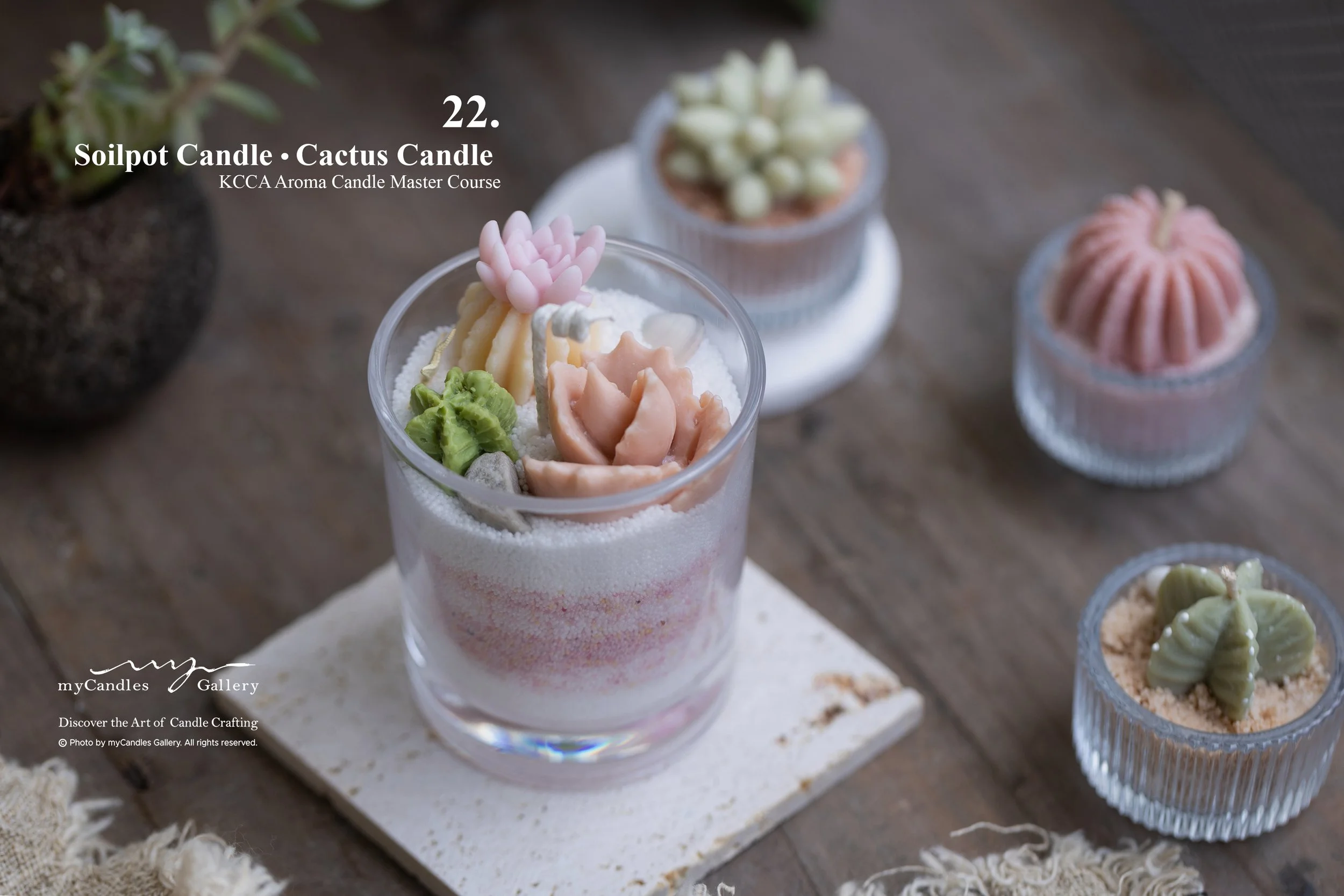 Soilpot Candle, Cactus Candle