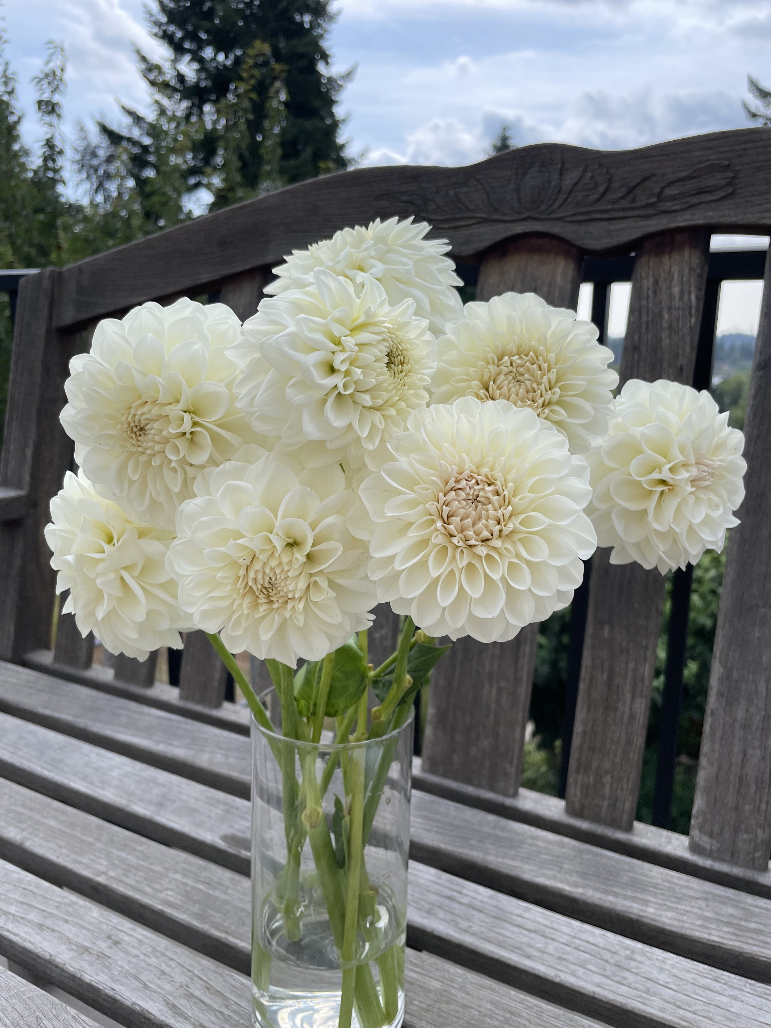 BOOM BOOM 01.jpg (Copy)