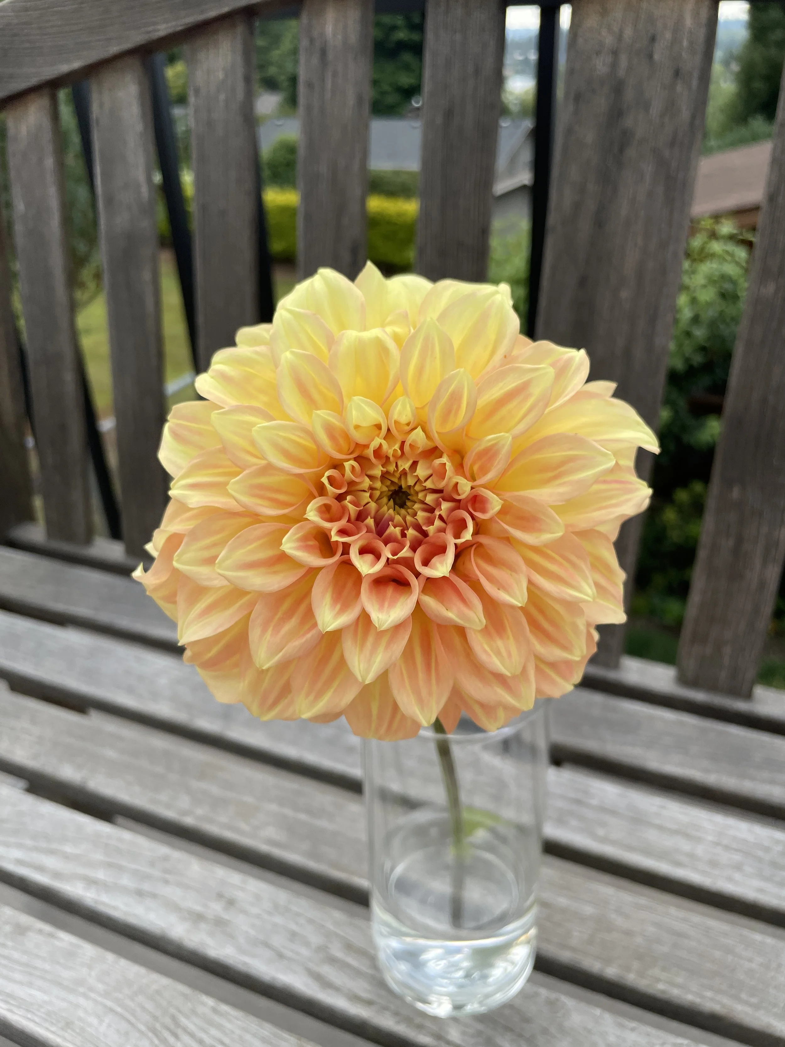 BRACKEN SARAH 03.jpg