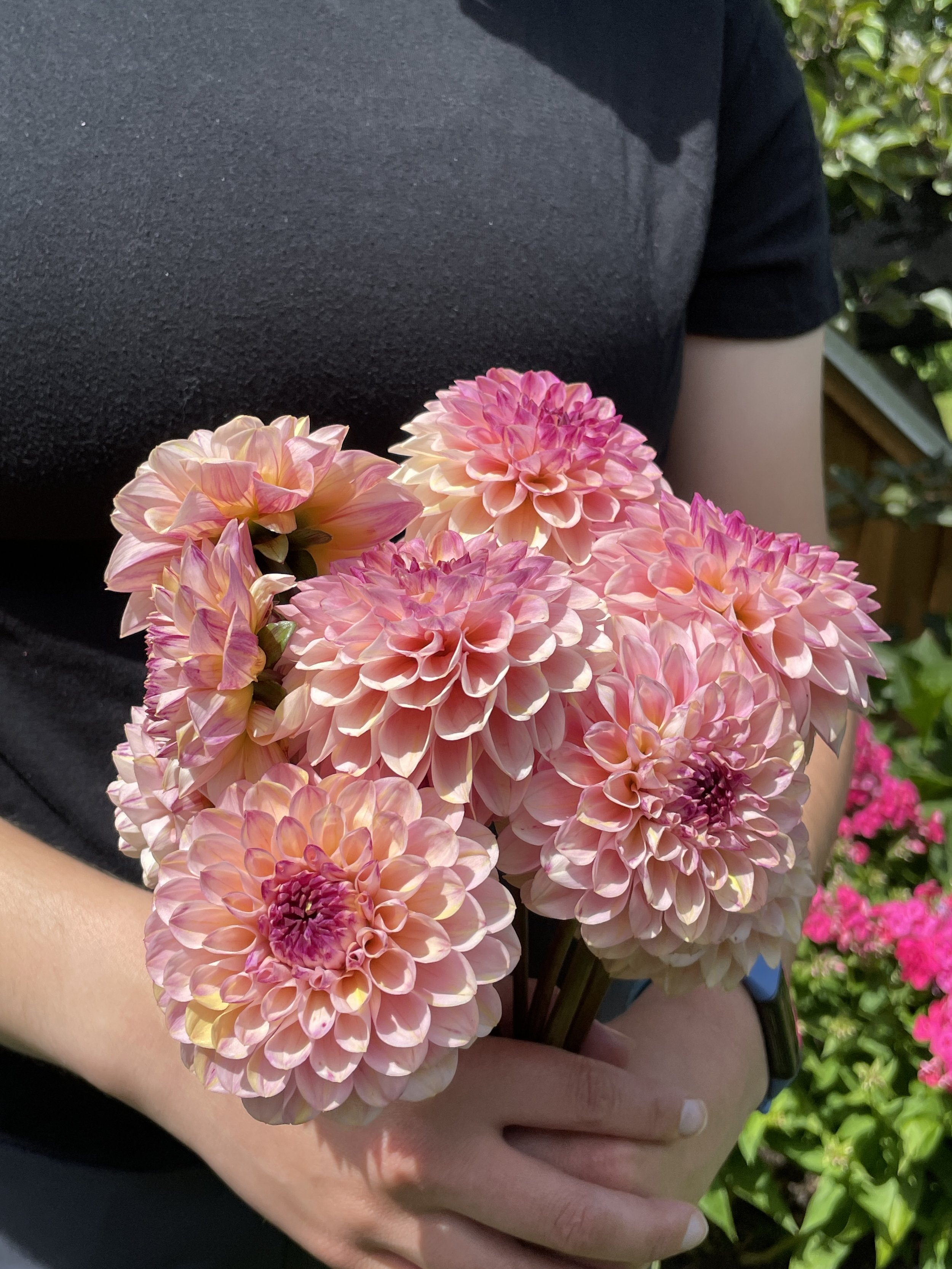 WINE EYED JILL 08.jpg