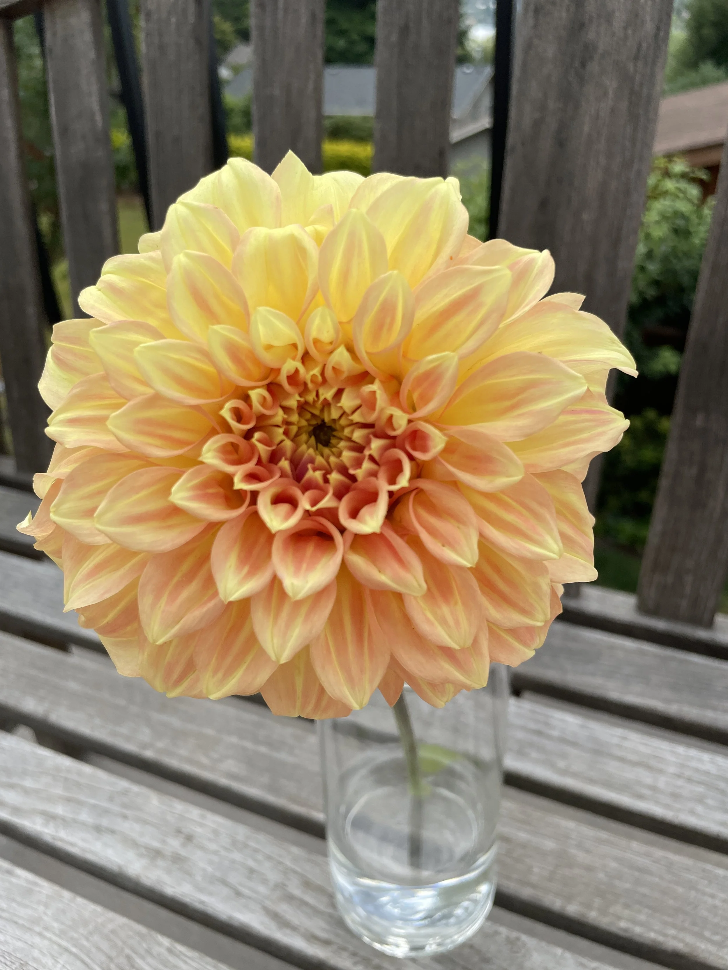 BRACKEN SARAH 02.jpg