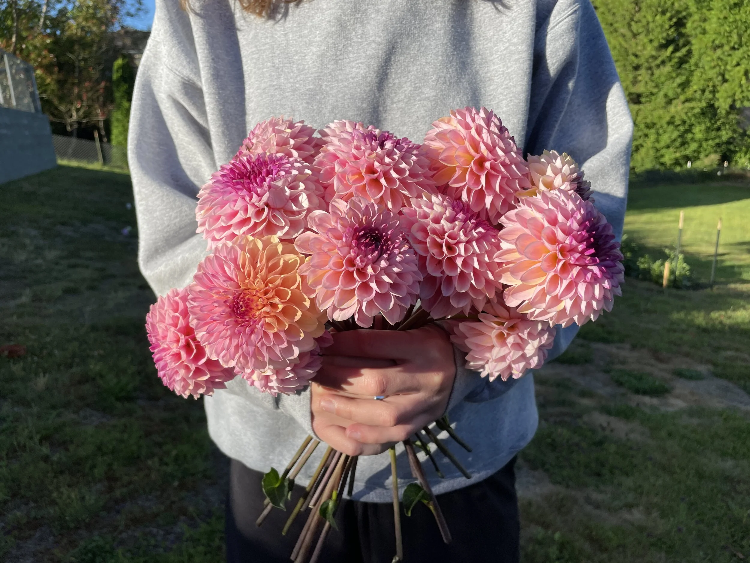 WINE EYED JILL 05.jpg