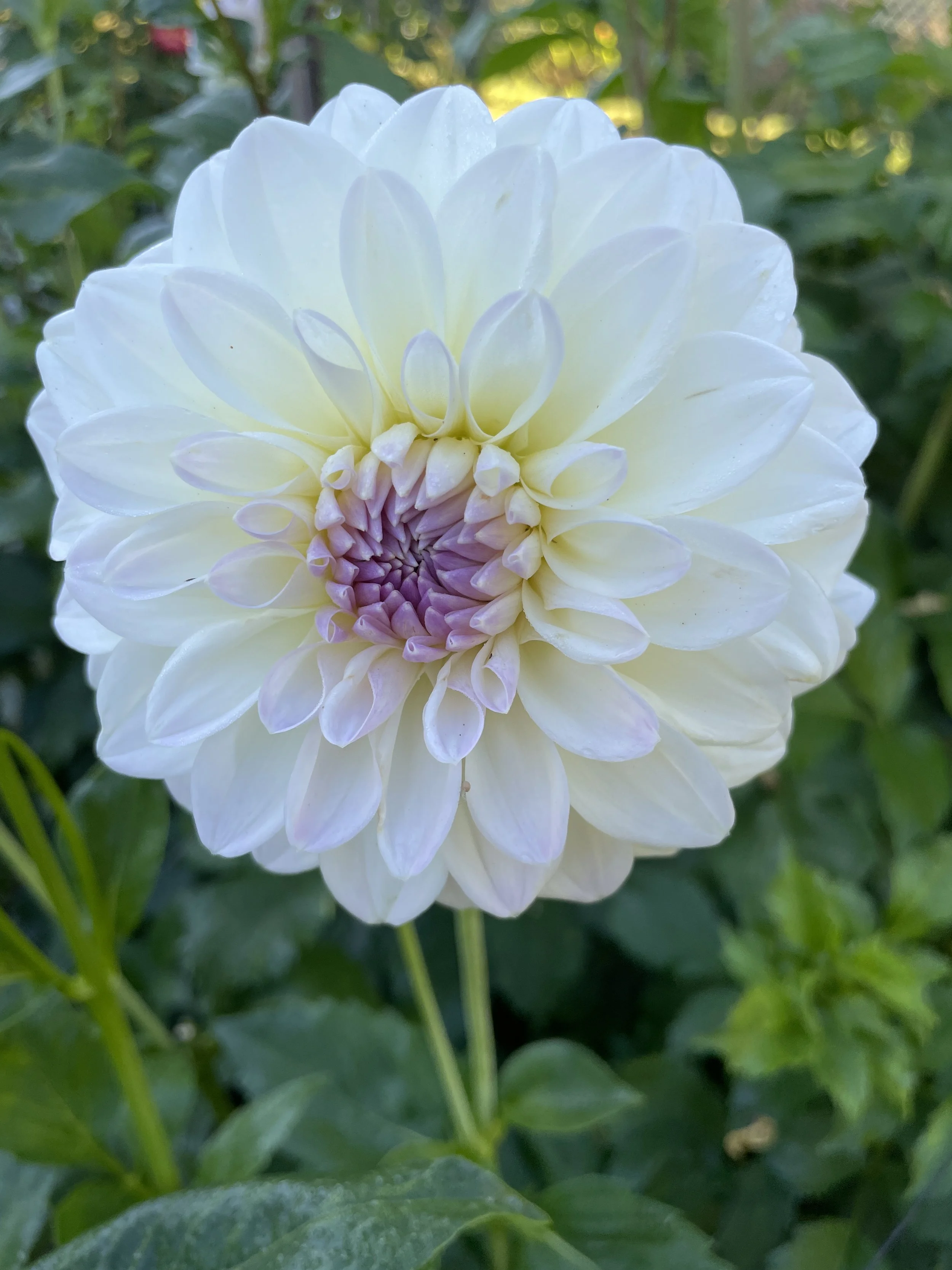 NARROWS RYDER 03.jpg