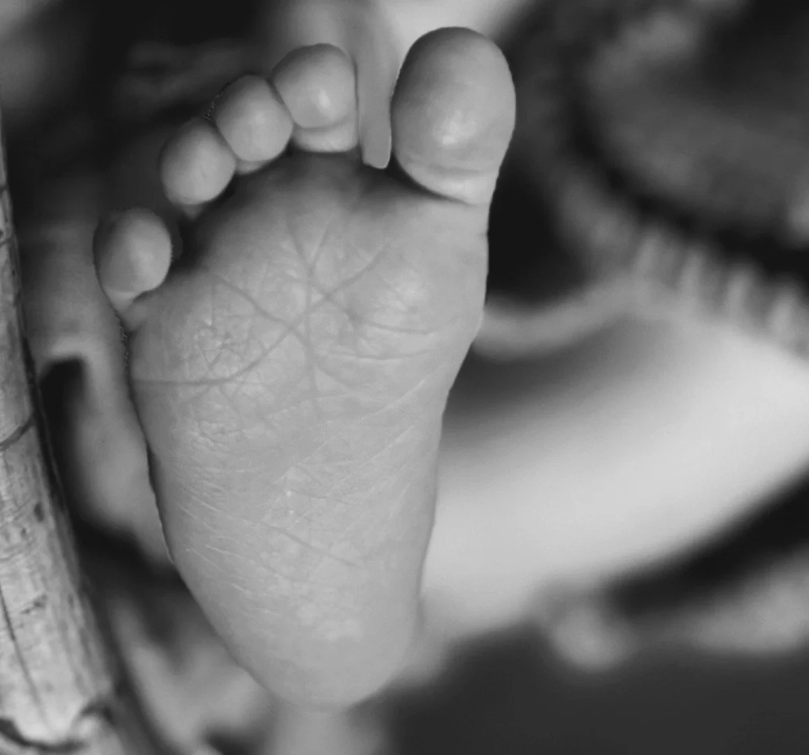 Julia was an amazing asset throughout the entire process