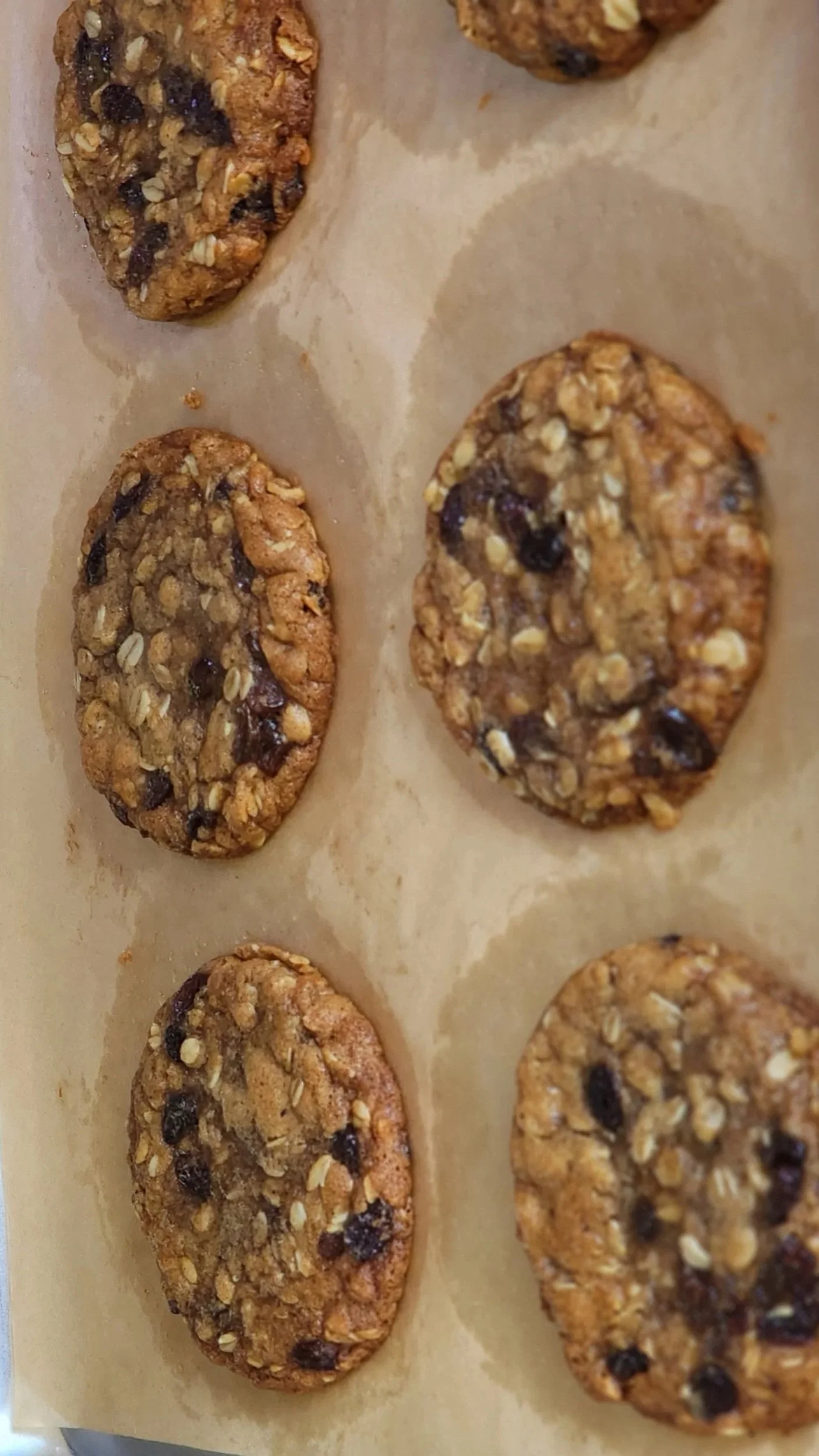 Oatmeal Raisin Cookie