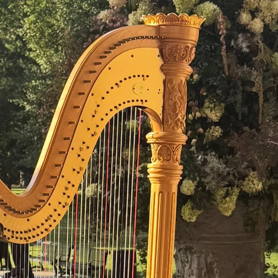 Member PERFORMANCE | Contemplative HARP・Merynda Adams