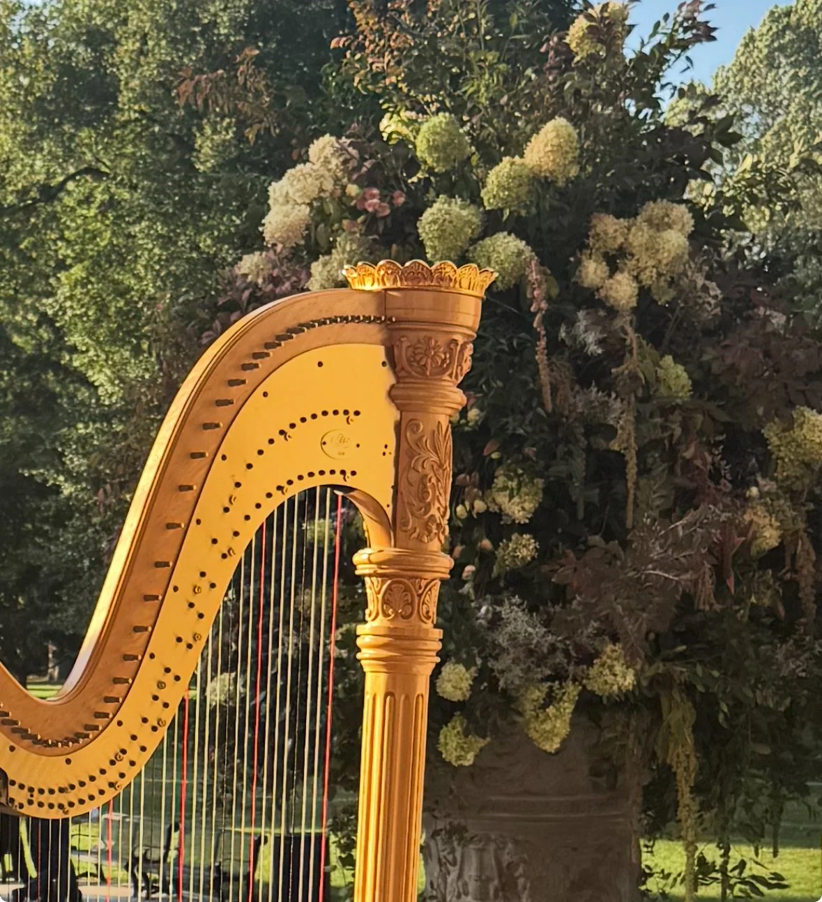 MEMBER PERFORMANCE・MUSIC OF THE SEASON・MERYNDA ADAMS