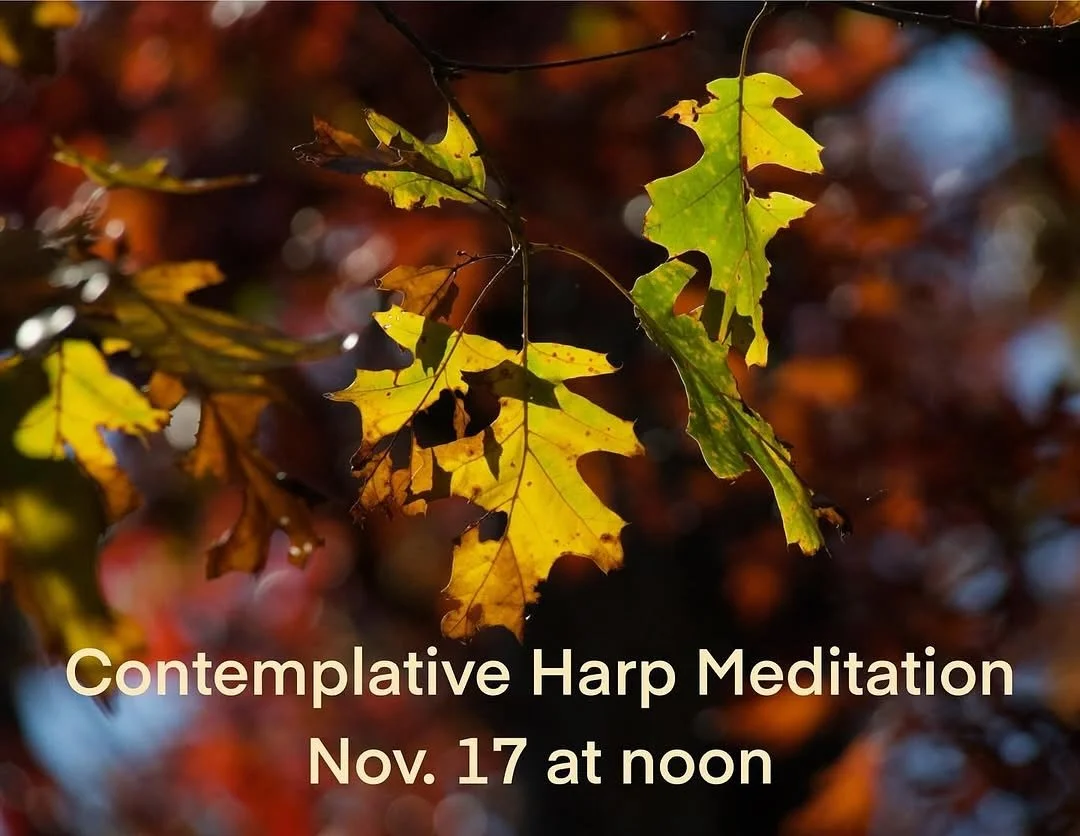 *NEW* MEMBER PERFORMANCE ALERT🪉 

Contemplative Harp, @meryndaharpist 
Monday, November 17 | 12:00pm 

Seeking peace? Experience harp music interspersed with time for reflection

ONLINE through Zoom

Register to receive link:
http://www.merynda.com/
