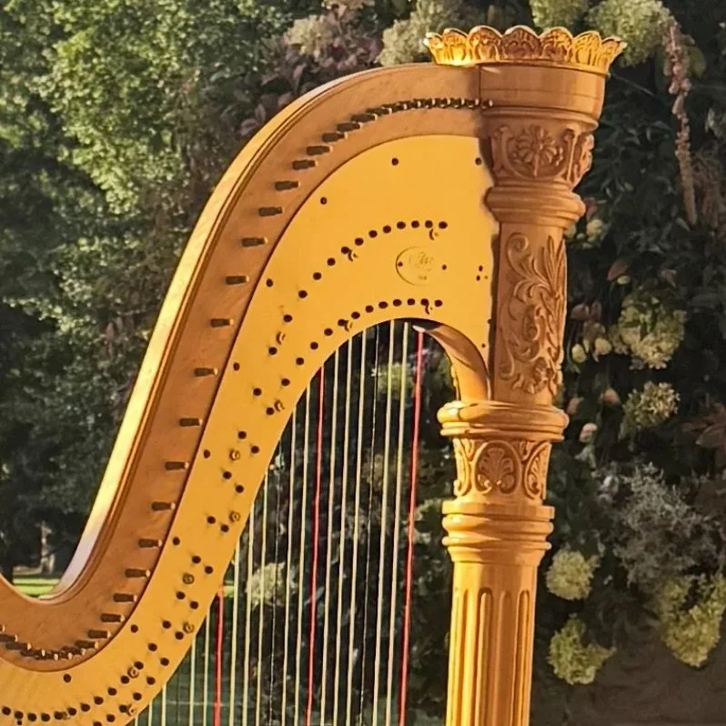 *NEW* MEMBER PERFORMANCE ALERT 

&ldquo;Music of the Season&rdquo; Merynda Adams @meryndaharpist 
Friday, November 28 | 12:00pm

Presented by the Madison Holiday Arts Festival 

A concert of solo harp music the day after Thanksgiving 

Classical, Chr
