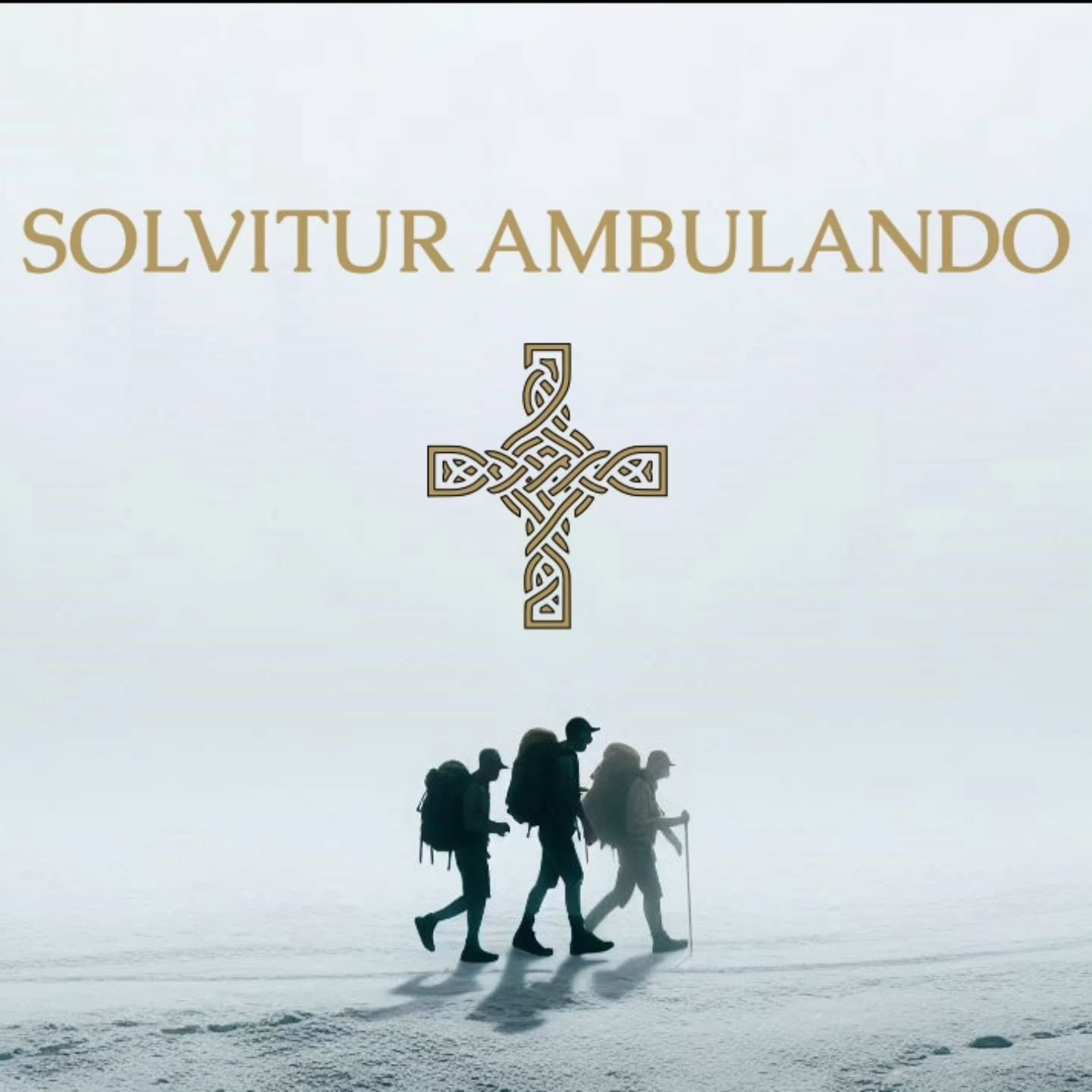 New Blog Post Up! Solvitur Ambulando: Is it really solved through walking? See our bio for the link.