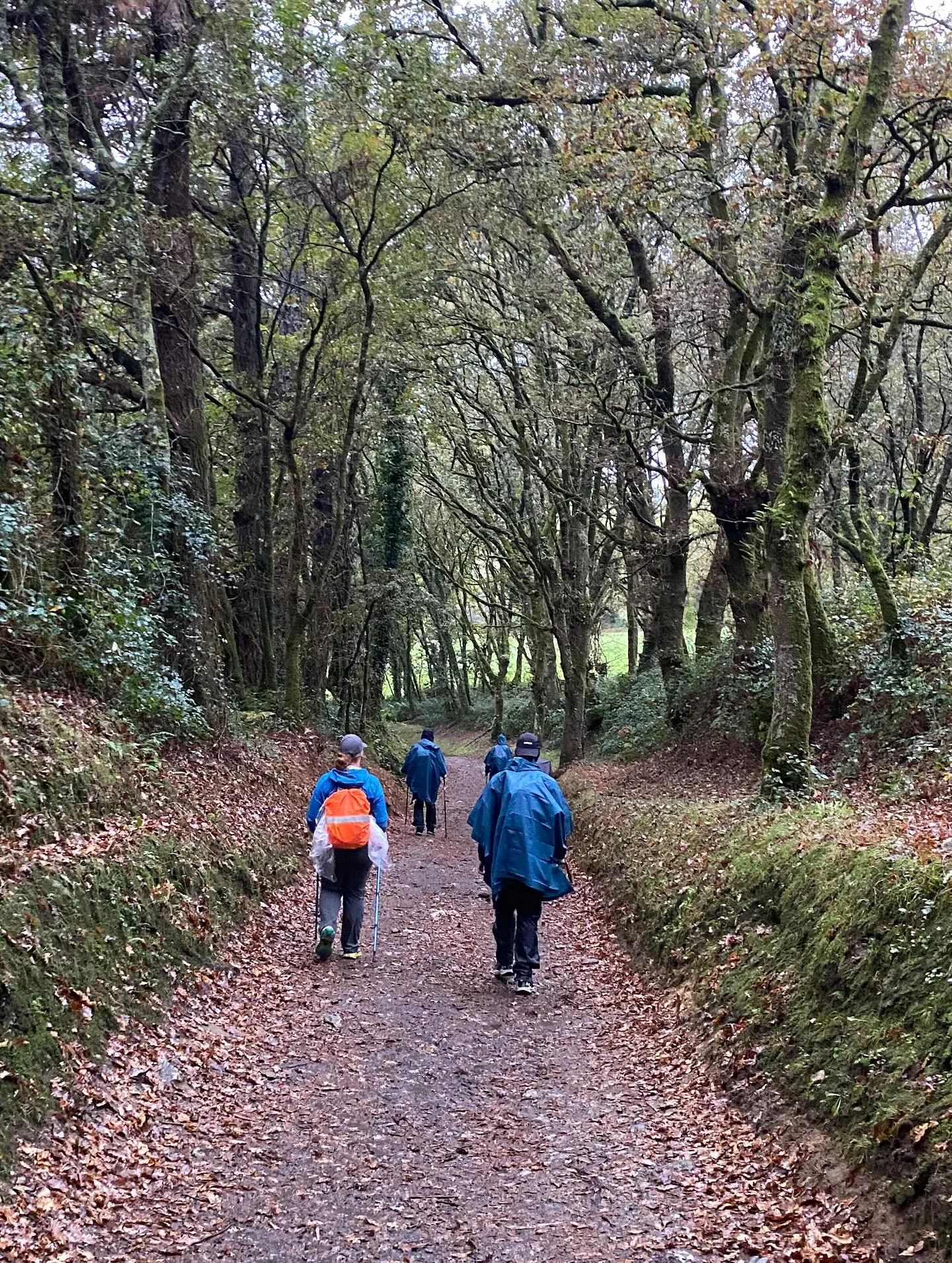 Day 4 - Arz&uacute;a to O Pedrouzo [O Pino] (19km/11.8 miles). The rain continues, but we press on! Coffee breaks are sweeter when you&rsquo;re wet and chilly. We enjoyed great conversations, warm delicious coffee and quiet moments with Jesus. And to