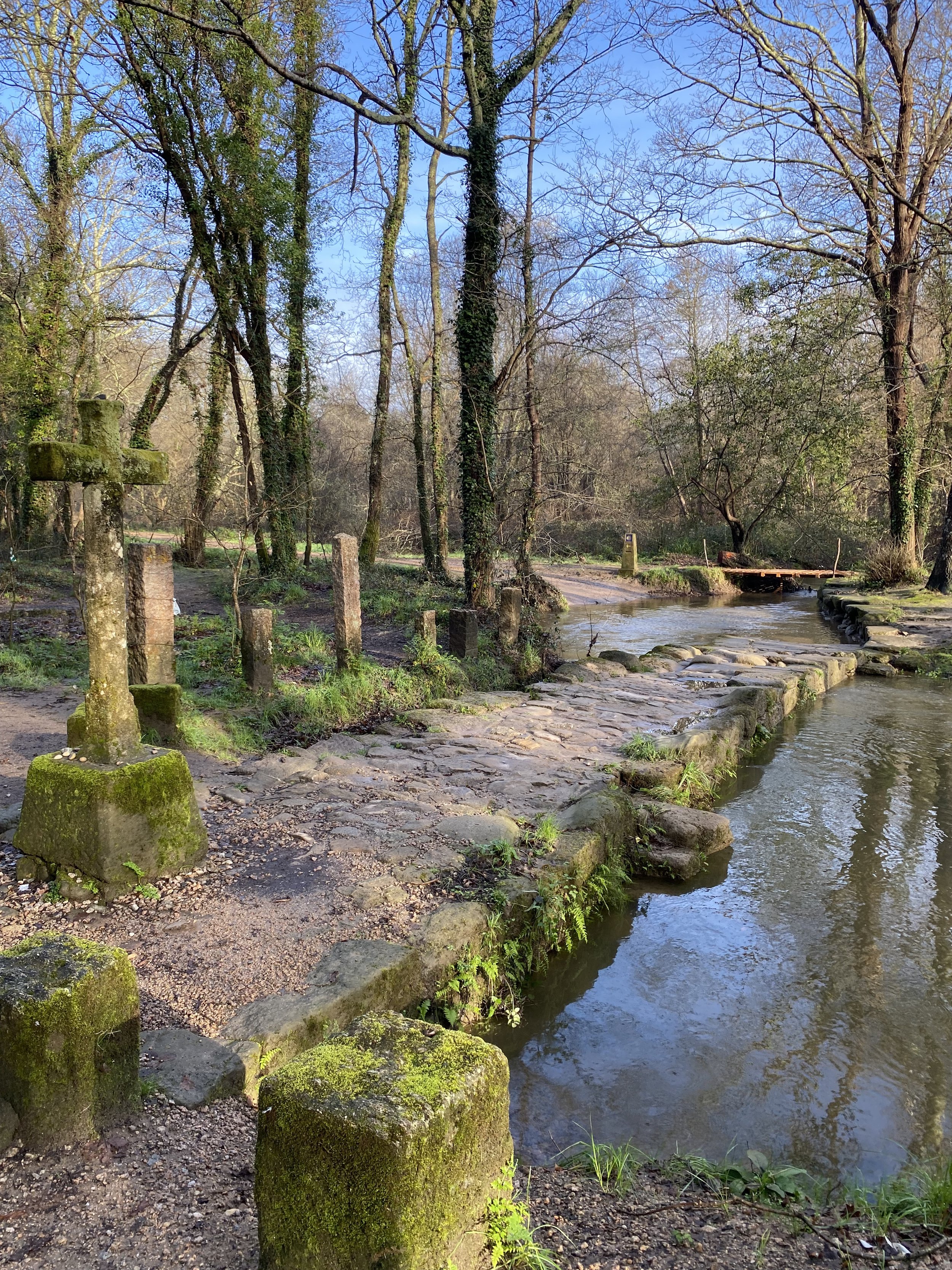 Portuguese Camino Stream walk.jpeg