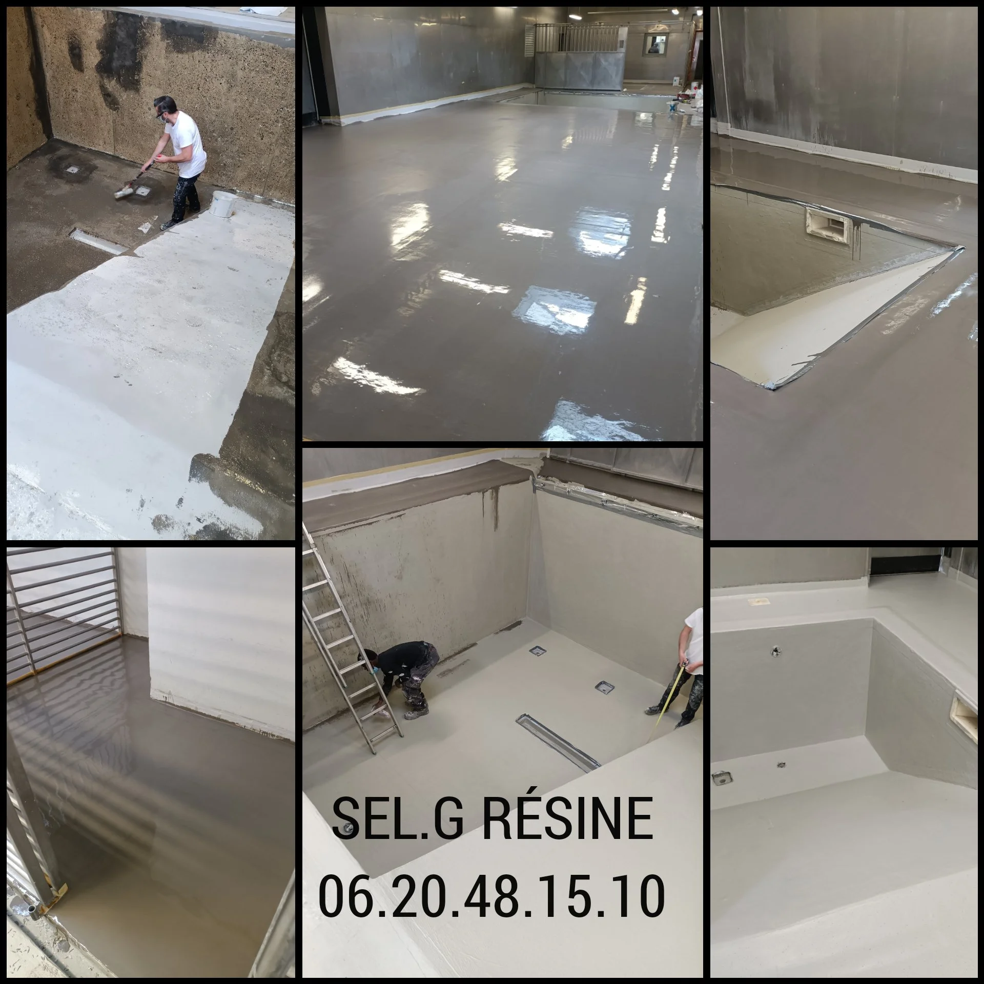 PhotoCollage Bassins Otaries 2.jpg