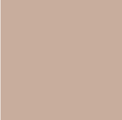 Image d'une couleur beige uni
