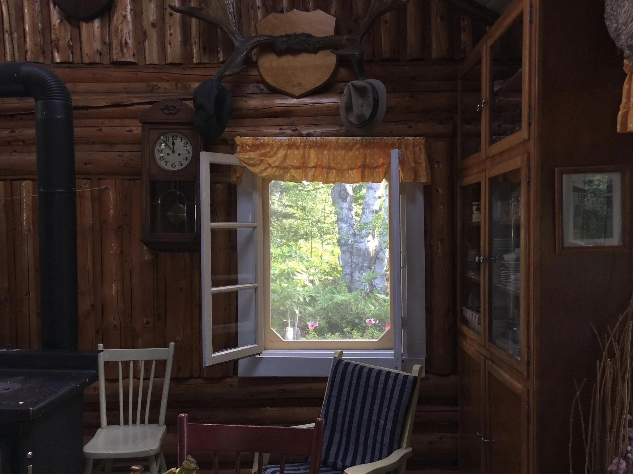 Du côté des vivants