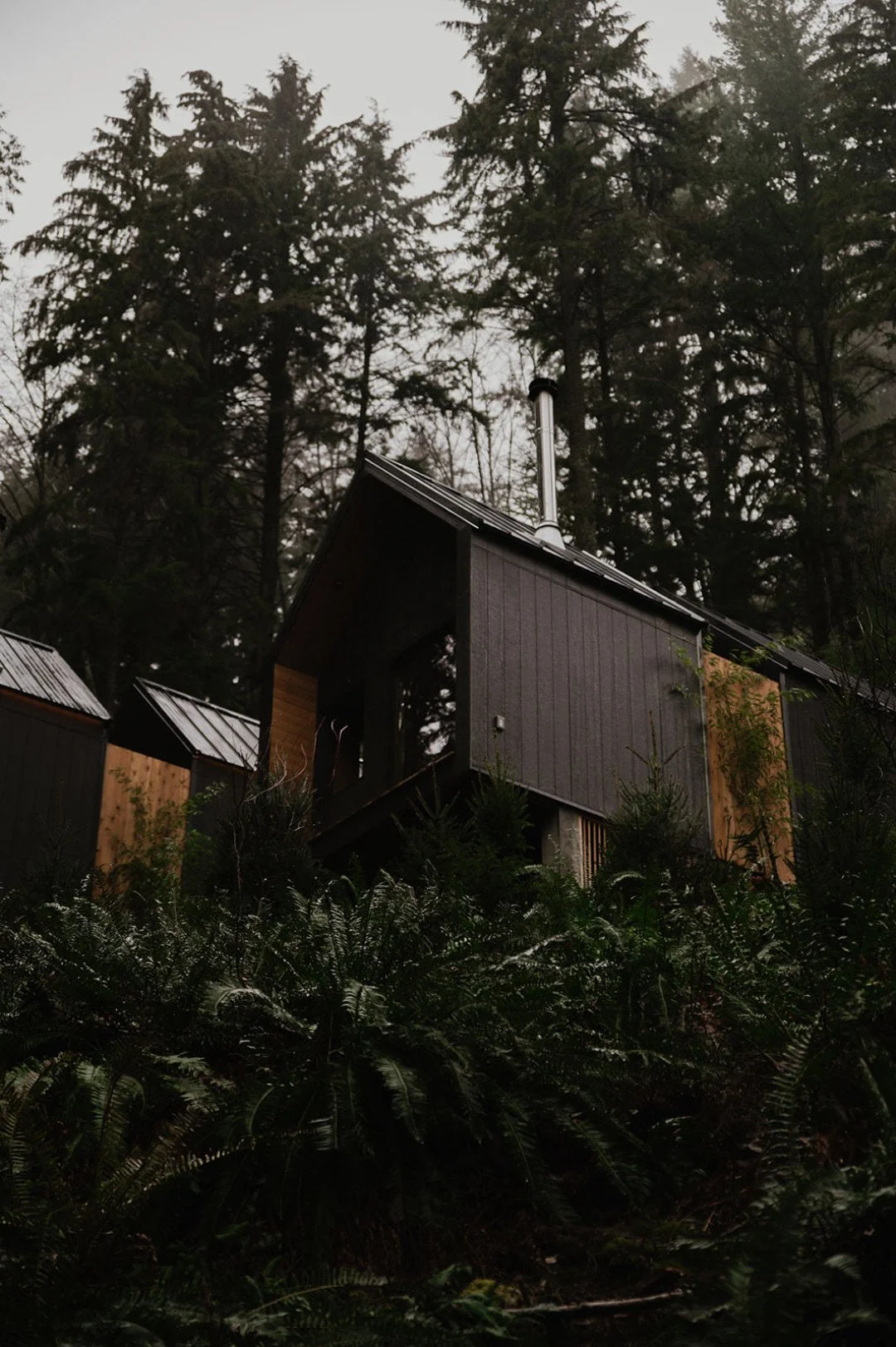 Step onto the ferry, cross the Salish Sea, and in 20 minutes, you&rsquo;re surrounded by forest, fire, and stillness at Mist. 🕊️

From Snug Cove, you can reach us by bus, by car, or, if you&rsquo;re travelling on foot, by catching a ride with a loca