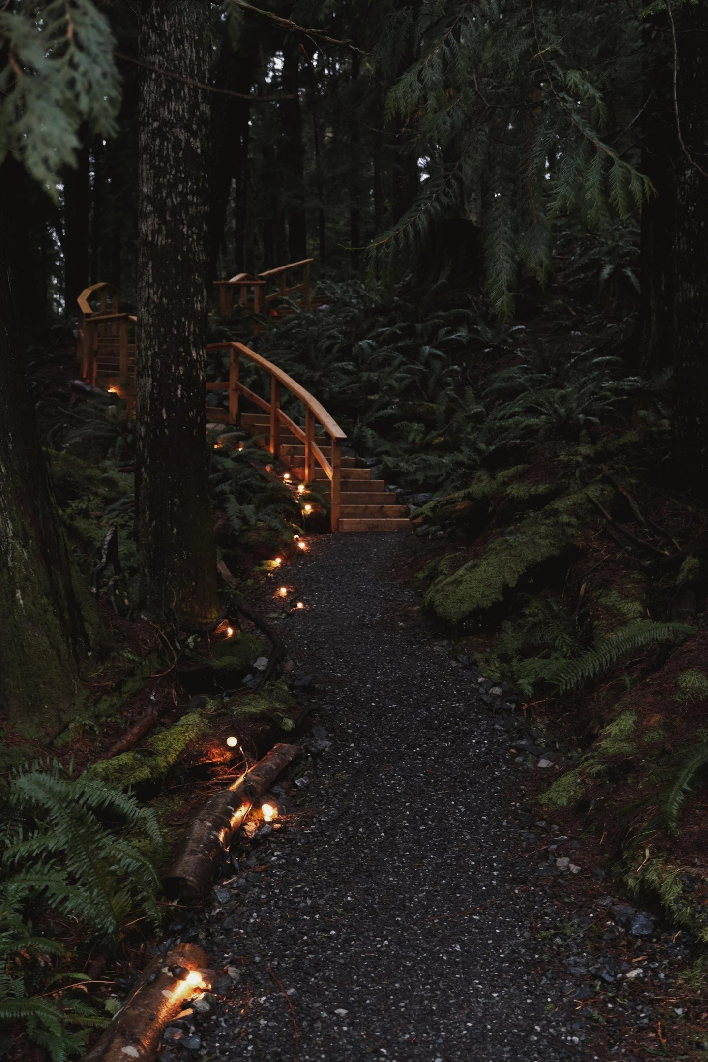 The kids have their after-school activities. You deserve yours too. Slip into the forest after a long day, leave your phone behind, step into the heat, and let the cold water bring you back to yourself. 🌀

At Mist, evenings are slower. Private sauna