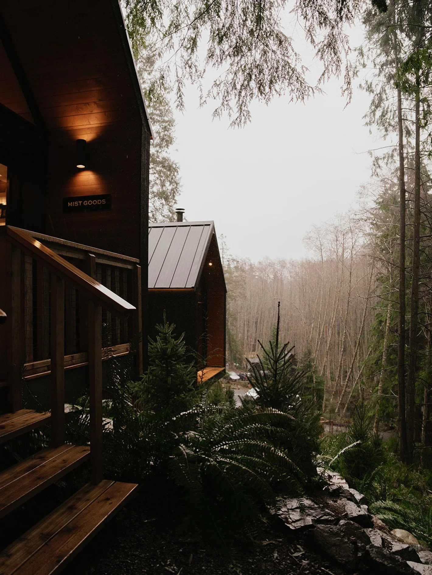 The forest feels different this time of year, quiet, cooling, still. 🕊️

If you&rsquo;ve been waiting for the right moment to return to yourself, this is it. Only 5 spaces remain for next weekend, October 24&ndash;26.

Book your circuit through the 