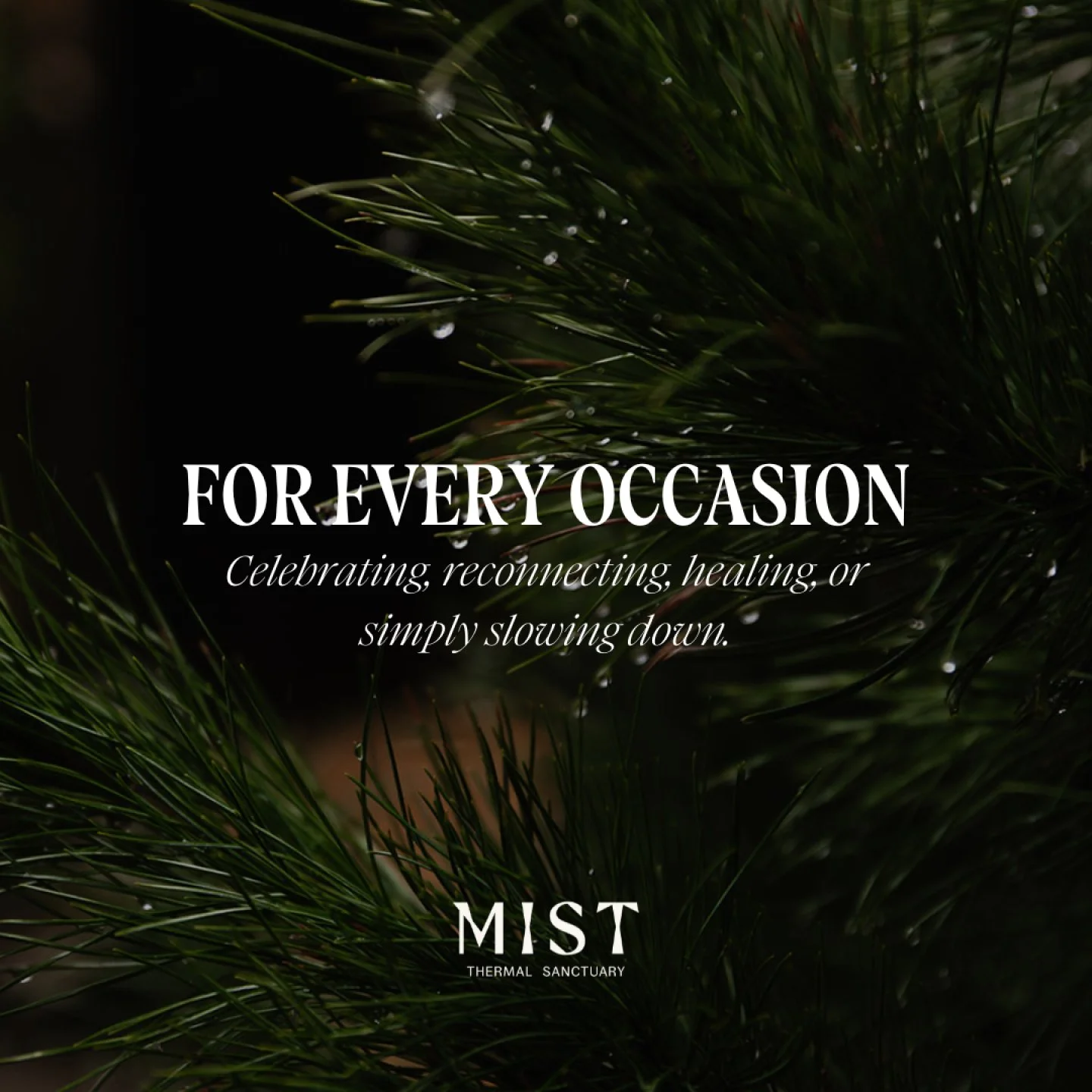Mist an experience for every occasion, for celebrating, reconnecting, or simply slowing down.

Many have chosen to mark anniversaries, birthdays, and meaningful milestones here, finding warmth and presence in the rhythm of heat, cold, and stillness. 