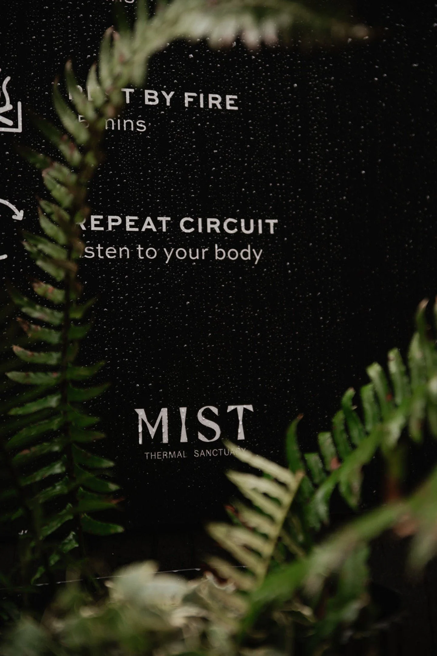 When you slow down enough, you start to notice the sounds around you, the soft crackle of cedar wood in the sauna, the drips of water after a plunge, the steady rhythm of your own breath. 🌀

This is the rhythm of Mist. A place where warmth, water, a