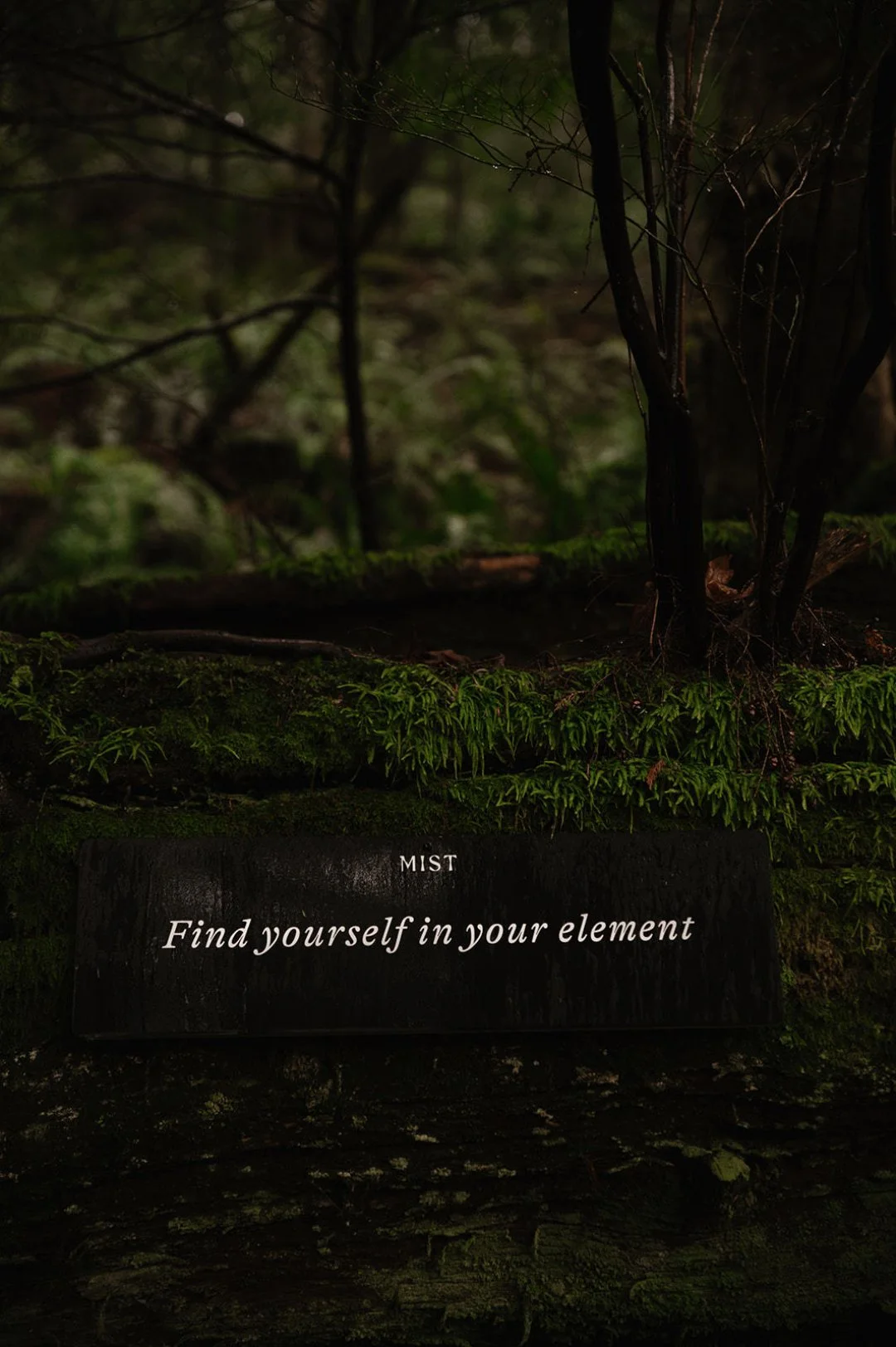 At Mist, we want everyone who steps through our doors to find something elemental, not just in the cedar, steam, and water, but within themselves. 💫

To find yourself in your element is to reconnect with your natural rhythm. It&rsquo;s the moment br
