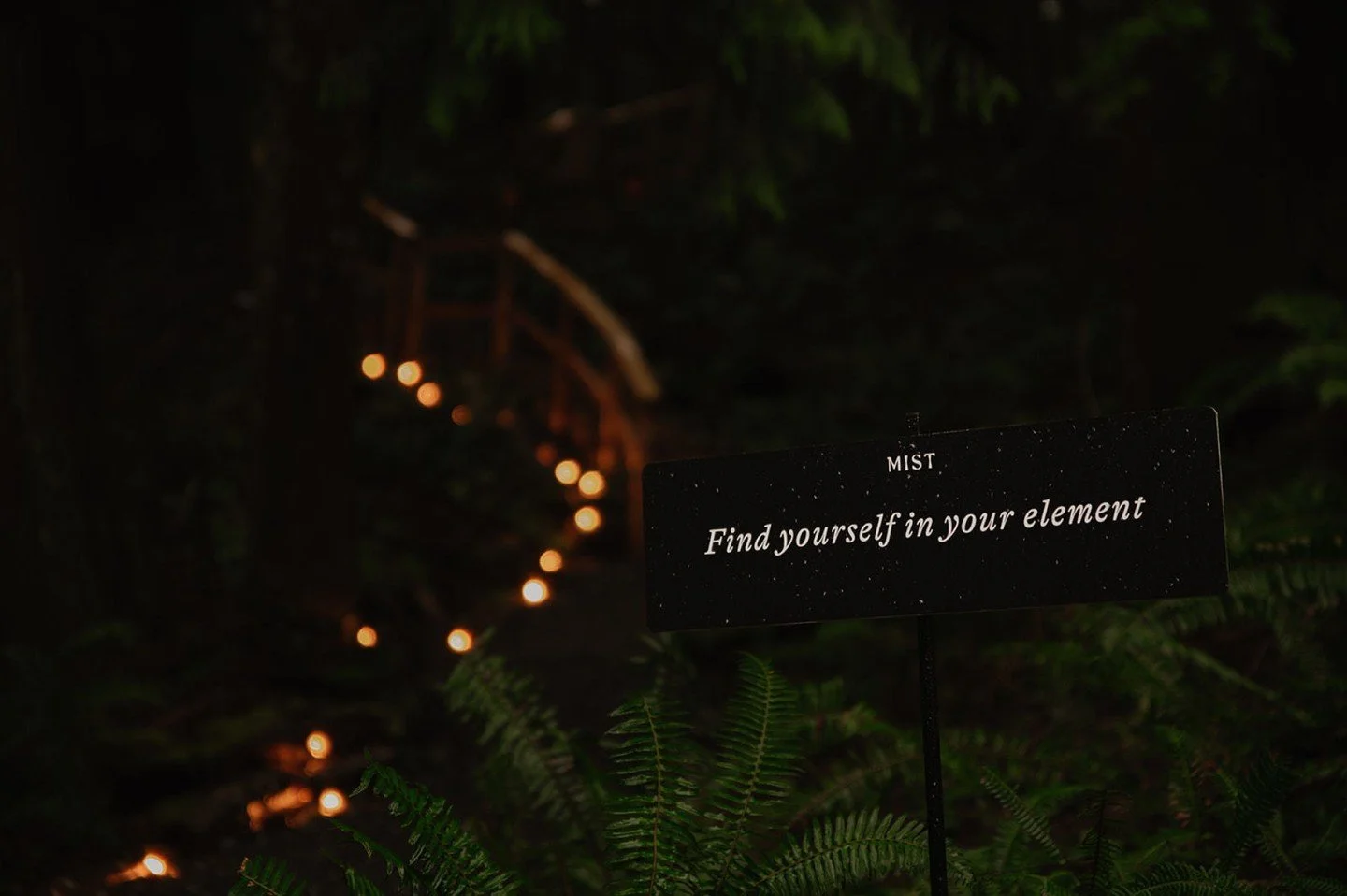 Before the holidays begin, find your pause. 🕊️

Book a weekday Mist Thermal Experience between December 1&ndash;19 and receive a complimentary Mist Goods product, plus $20 off in-store purchases on the day of your visit, a quiet way to take your rit