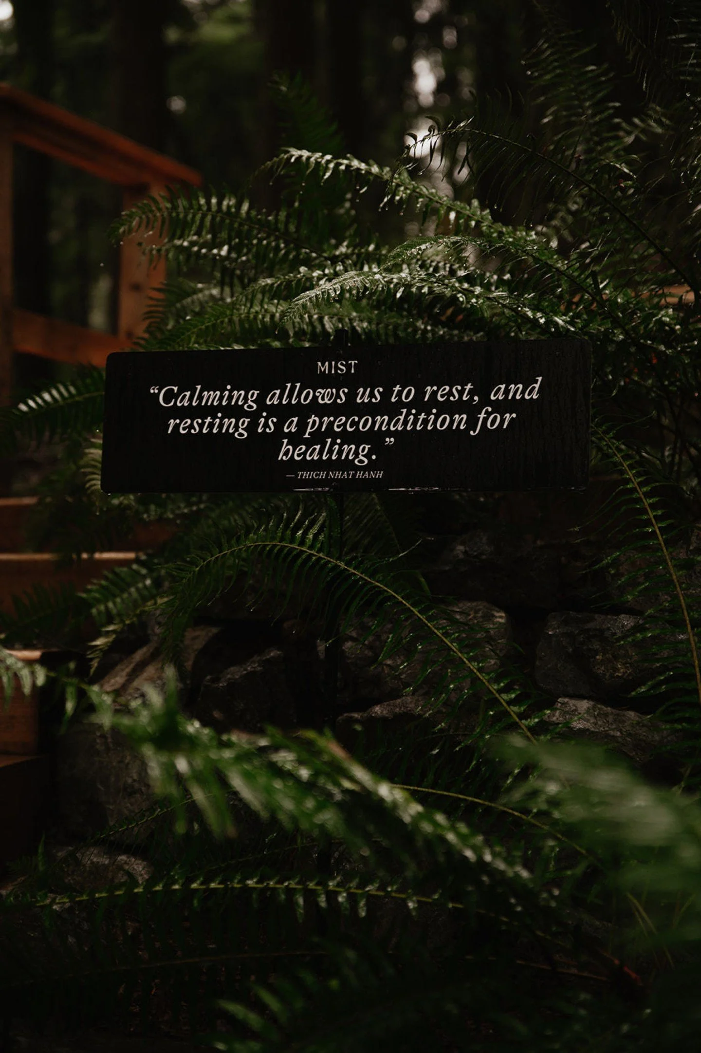 As the new year begins, we&rsquo;re taking a month to settle into stillness, allowing the land, the spaces, and our team to rest and restore. January is a quiet pause at Mist, a time to tend to the sanctuary so it can continue to hold each of you wit