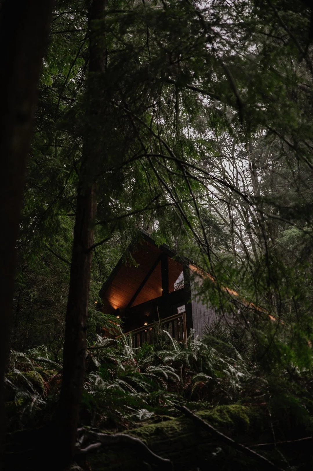Mist isn&rsquo;t surrounded by traffic or noise. 🌲

Surrounded by forest, the Mist Experience feels immersive in a way city spas rarely allow. Choose between a 90- or 120-minute circuit of uninterrupted time to relax and unwind beneath the trees.

E