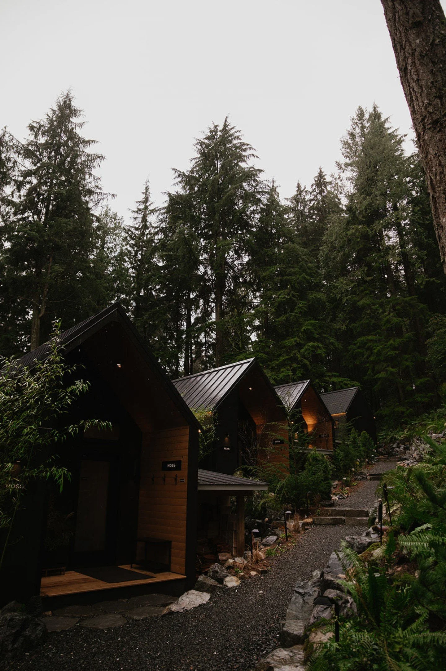 As February comes to a close, we&rsquo;re reminded that restoration isn&rsquo;t something to complete or check off or to-do lists. 

It&rsquo;s something we return to, through quiet moments, thoughtful pacing, and allowing ourselves to slow down with