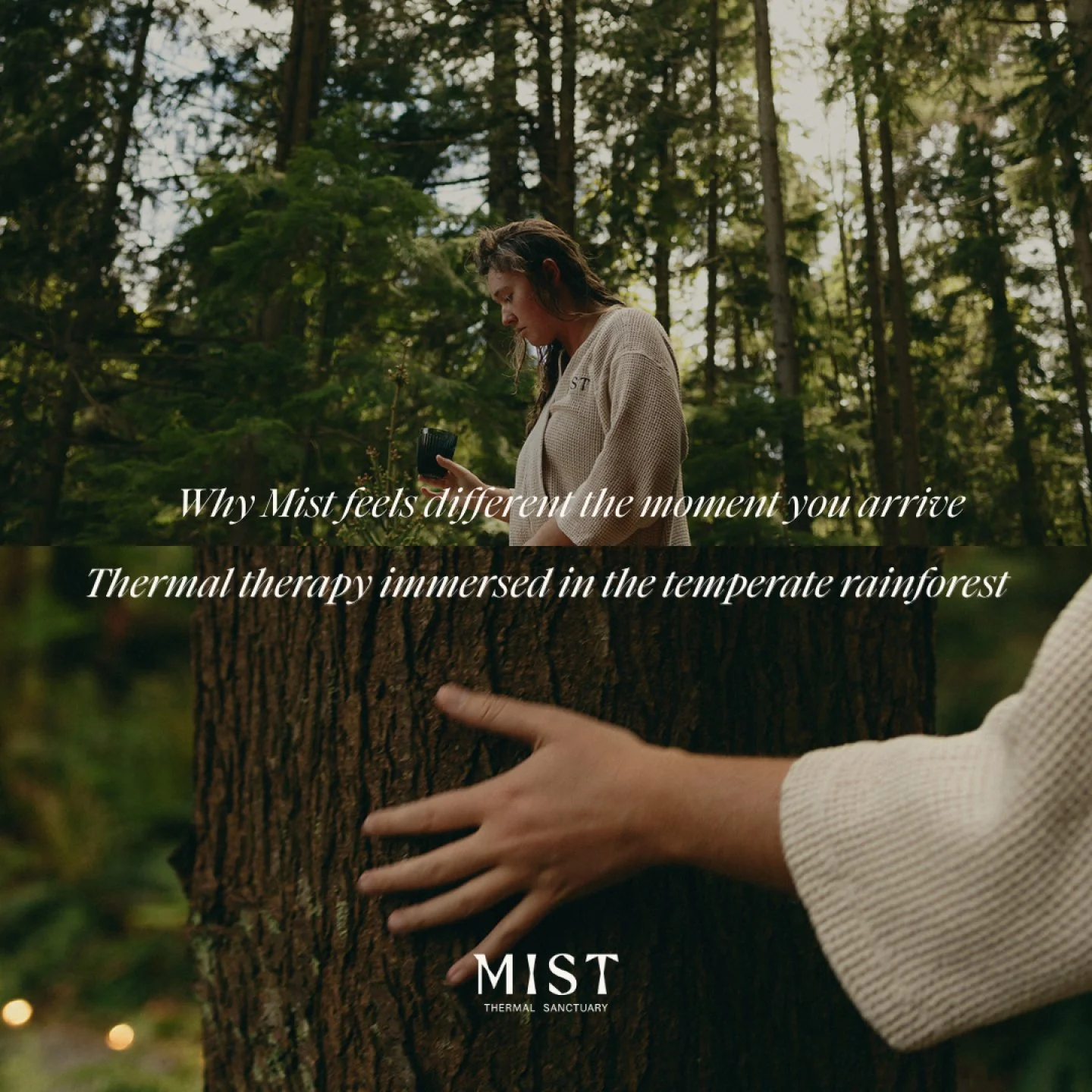The forest isn't the backdrop. It's part of the experience. 🌲

At Mist, you are immersed in nature from start to finish. The drive from the ferry, the walk up to check-in, the expanse of forest from the sauna window, and the sound of birds between c