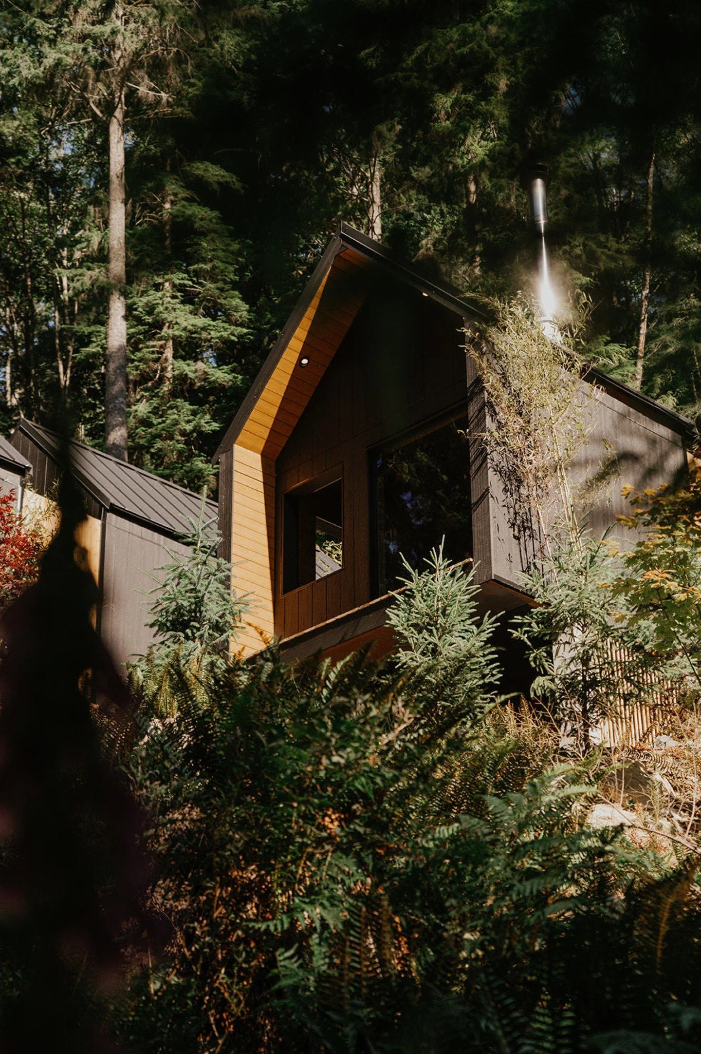 Late May on Bowen Island hits differently. The trail to Mist is fully canopied by this time of year, and the forest is lush enough that the rest of the world genuinely feels far away. 

Discover a private thermal circuit in one of the most secluded s