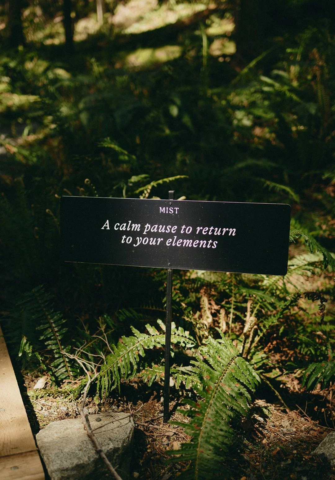 May is almost behind us, and we're excited for June to bring longer evenings, warmer air, and the kind of light that makes Bowen Island feel like a different place entirely.

The forest is at its fullest. The circuit is as good as it gets. And the fe