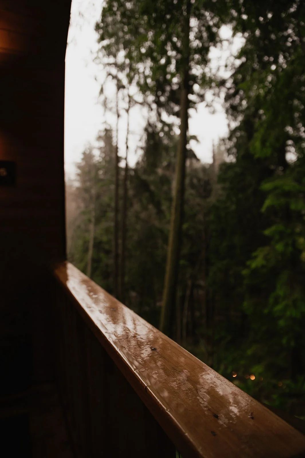 sauna cold plunge near me