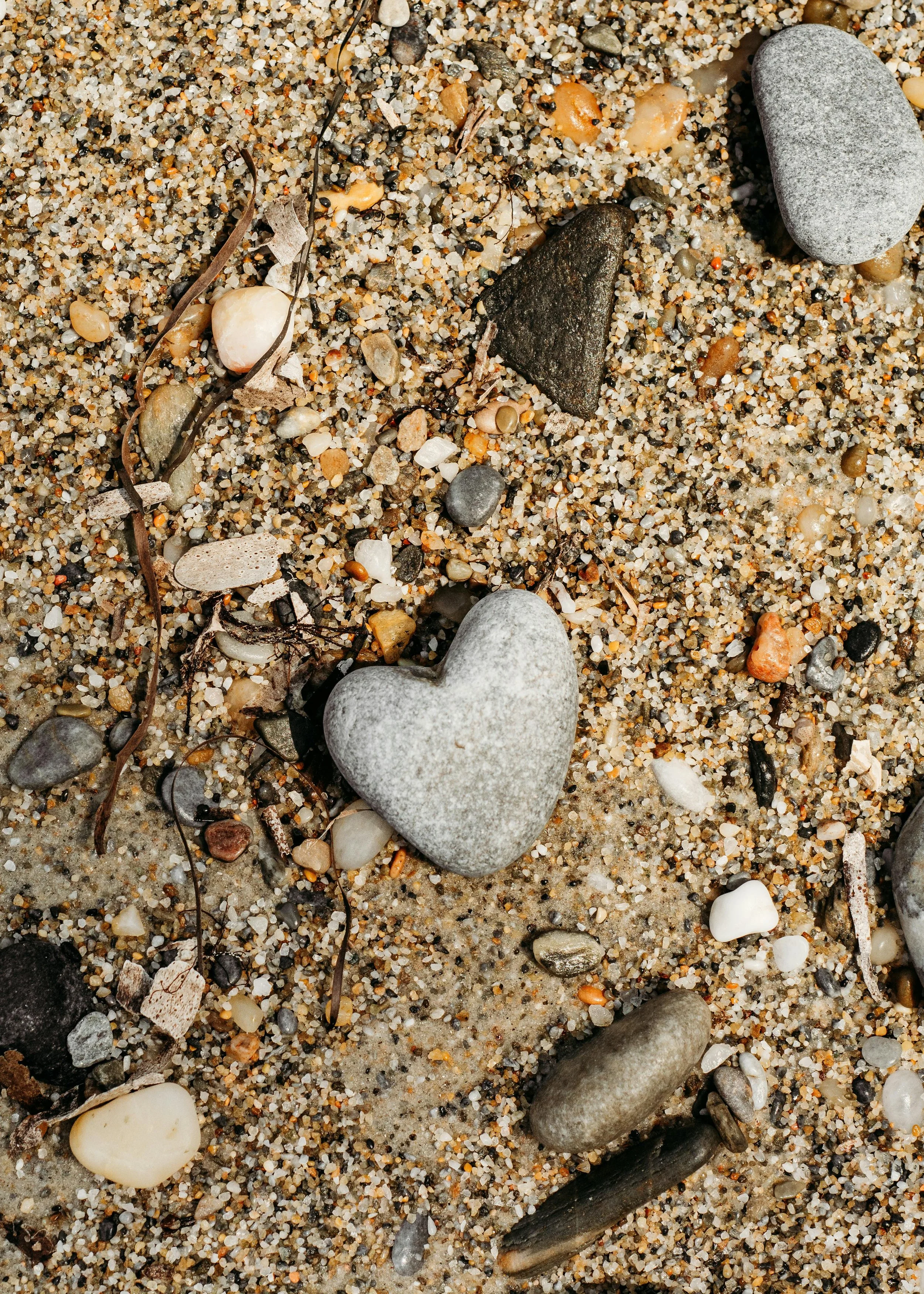 Close-up of a sandy beach with various small stones, shells, and dried seaweed scattered on the sand.