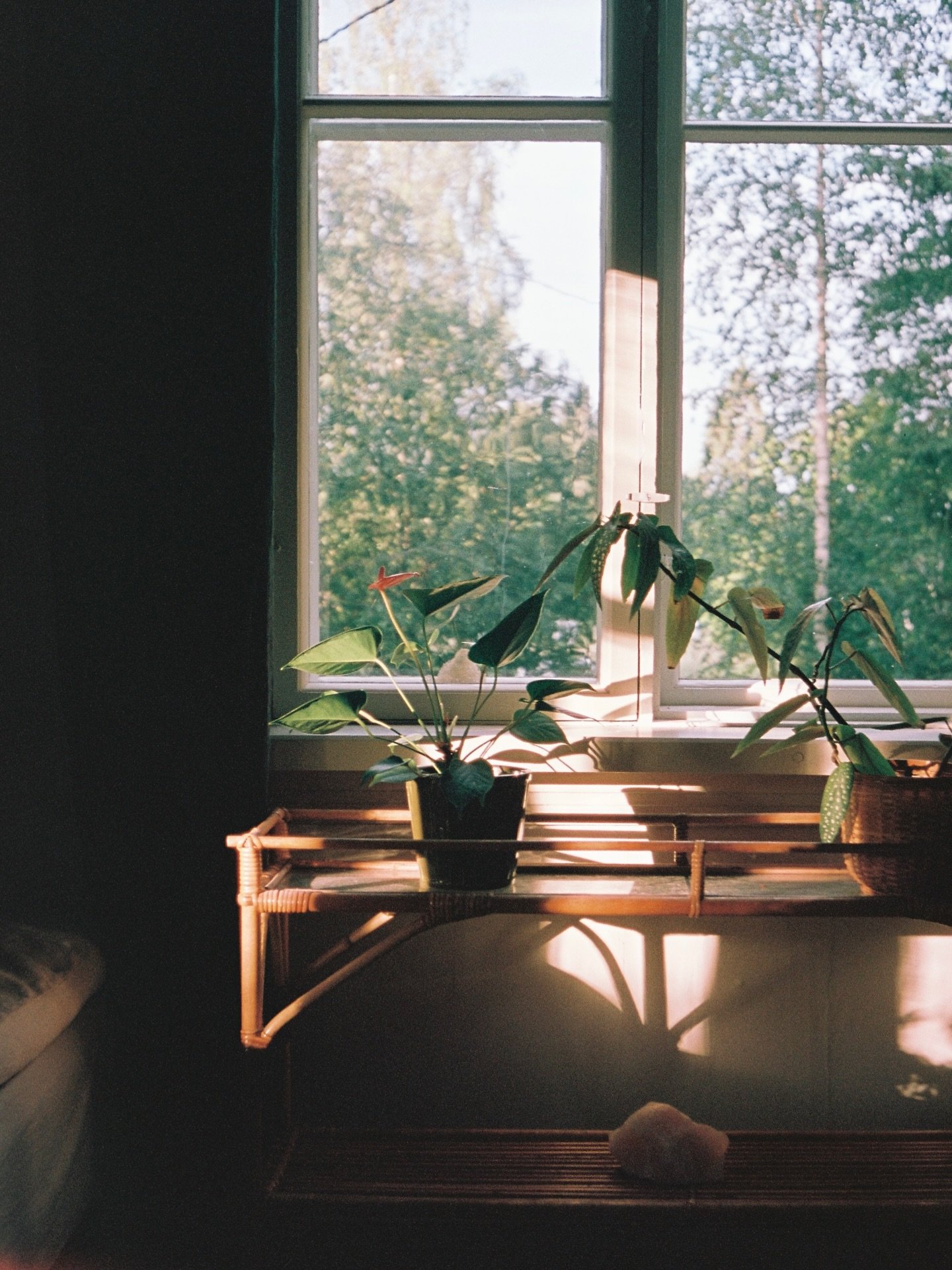 Olen miettinyt paljon sit&auml;, koska on maapallon kantokyky&auml; ajatellen paras aika laittaa jokin tavara pois. 

Otetaan vaikkapa reik&auml;iset vaatteet. Toiset k&auml;ytt&auml;v&auml;t vaatteita viel&auml; silloinkin, kun ne ovat t&auml;ynn&au