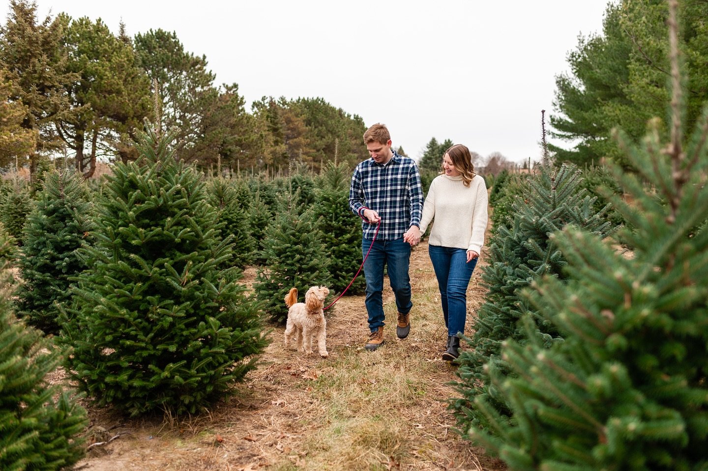 In my heart is a 𝒞𝒽𝓇𝒾𝓈𝓉𝓂𝒶𝓈 𝓉𝓇𝑒𝑒 𝒻𝒶𝓇𝓂🌲✨

Tree Farm Minis 
Sunday, December 1st
Green Bay, WI

There are three afternoon spots left, I&rsquo;d love to see you there! Comment &ldquo;tree&rdquo; and I&rsquo;ll send you all the details!?