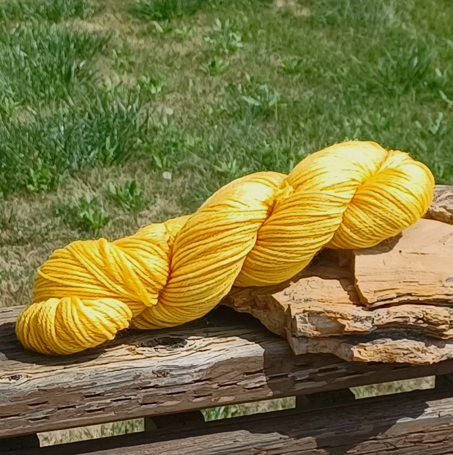 Wheat dk.jpg