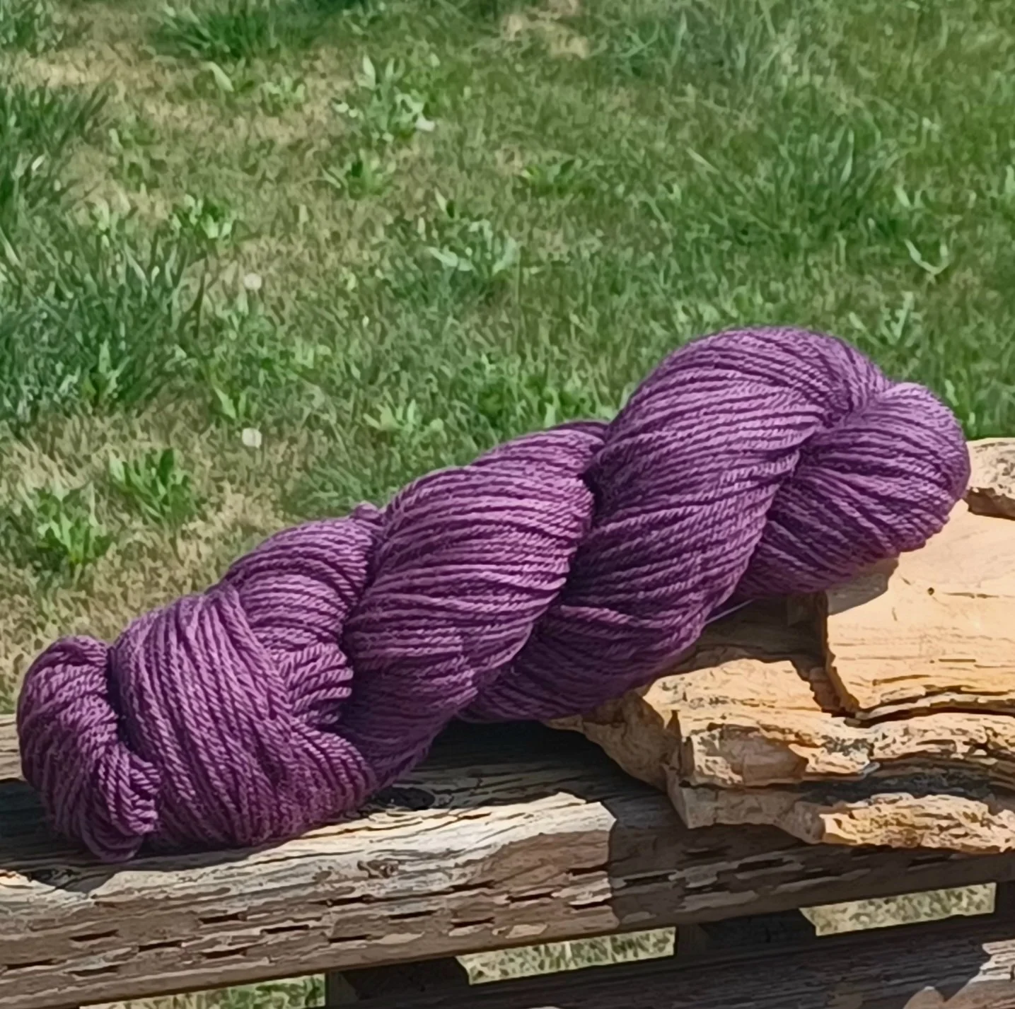 Elderberry dk.jpg