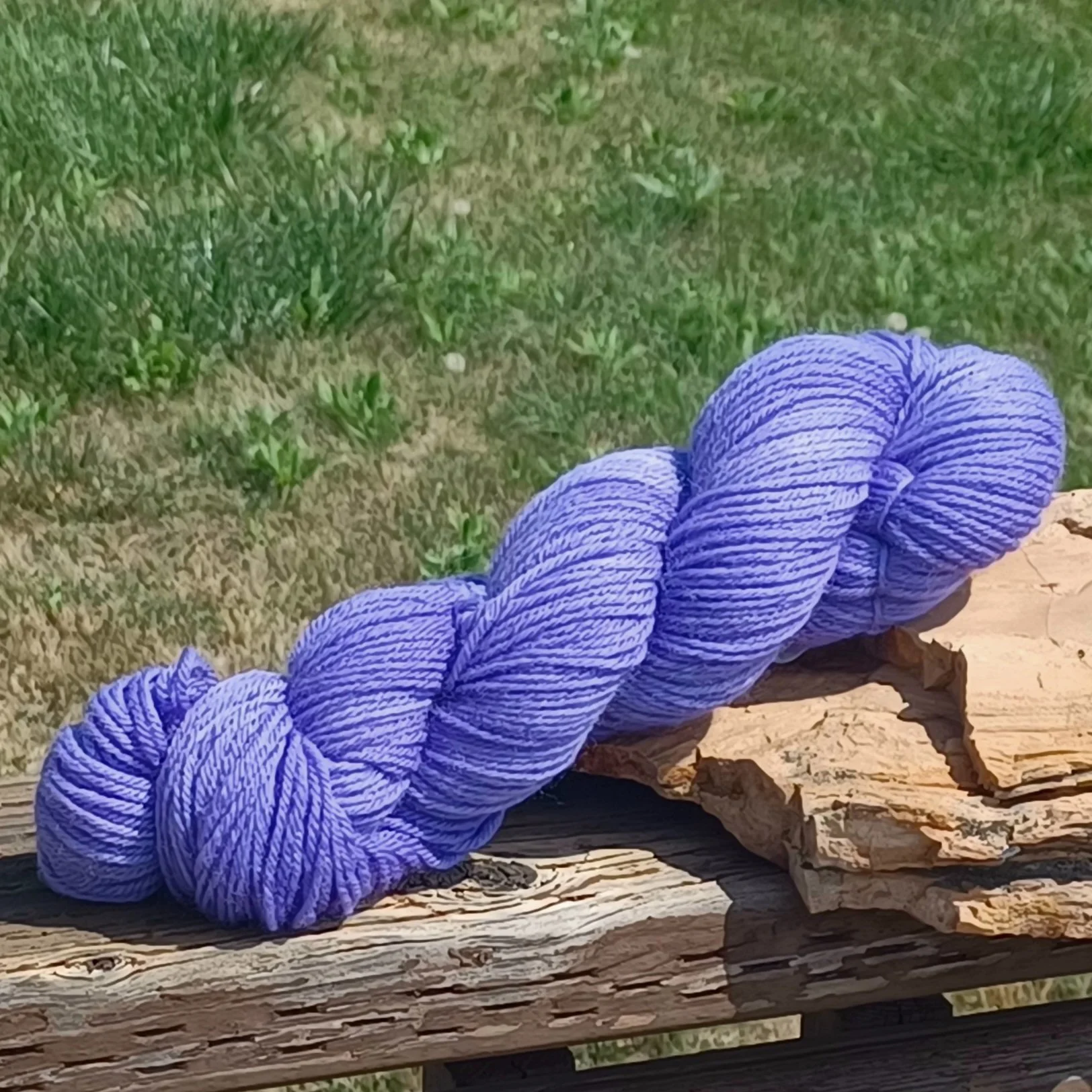 Iris dk.jpg