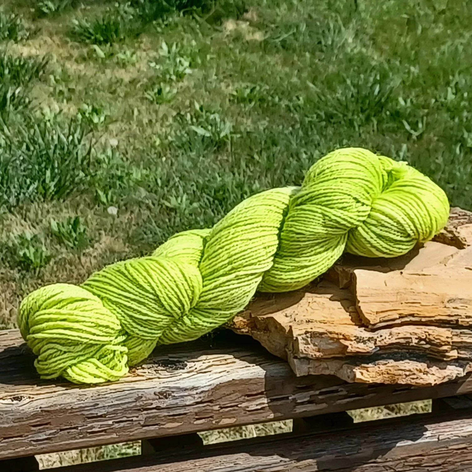 New Growth dk.jpg