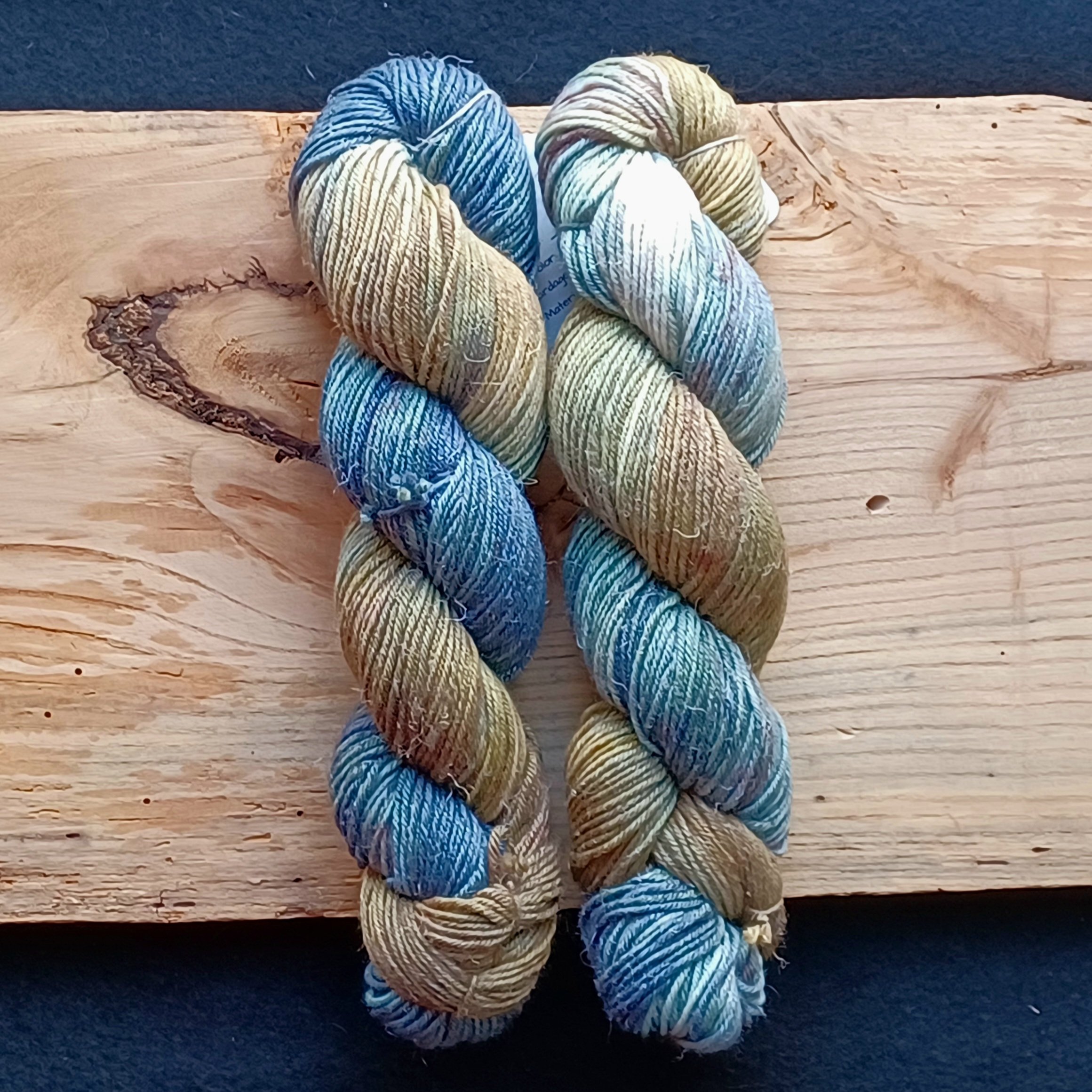 Eco dk undergrowth.jpg